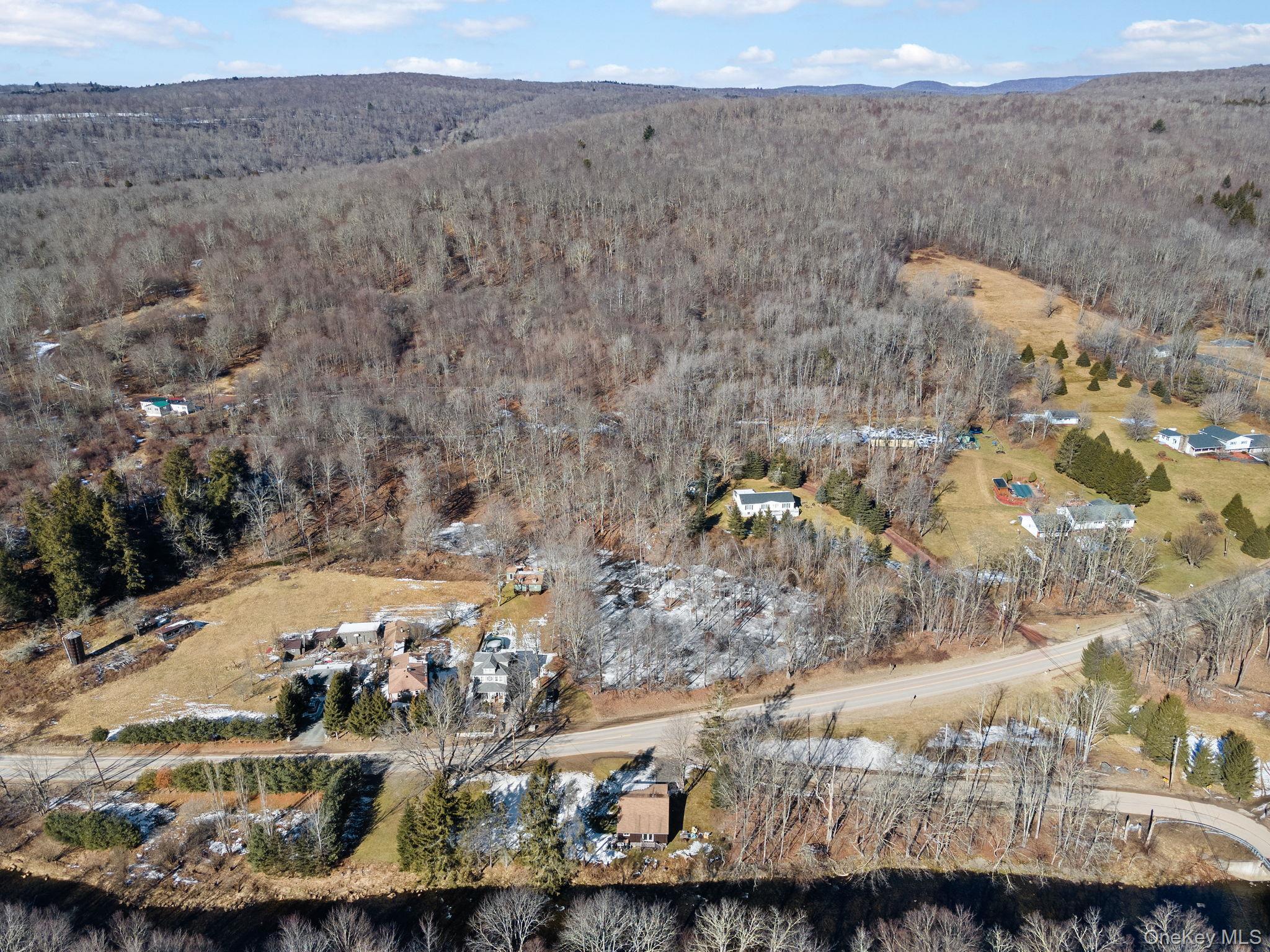 Single Family Debruce Road  Sullivan County, NY 12758, MLS-1019677-41