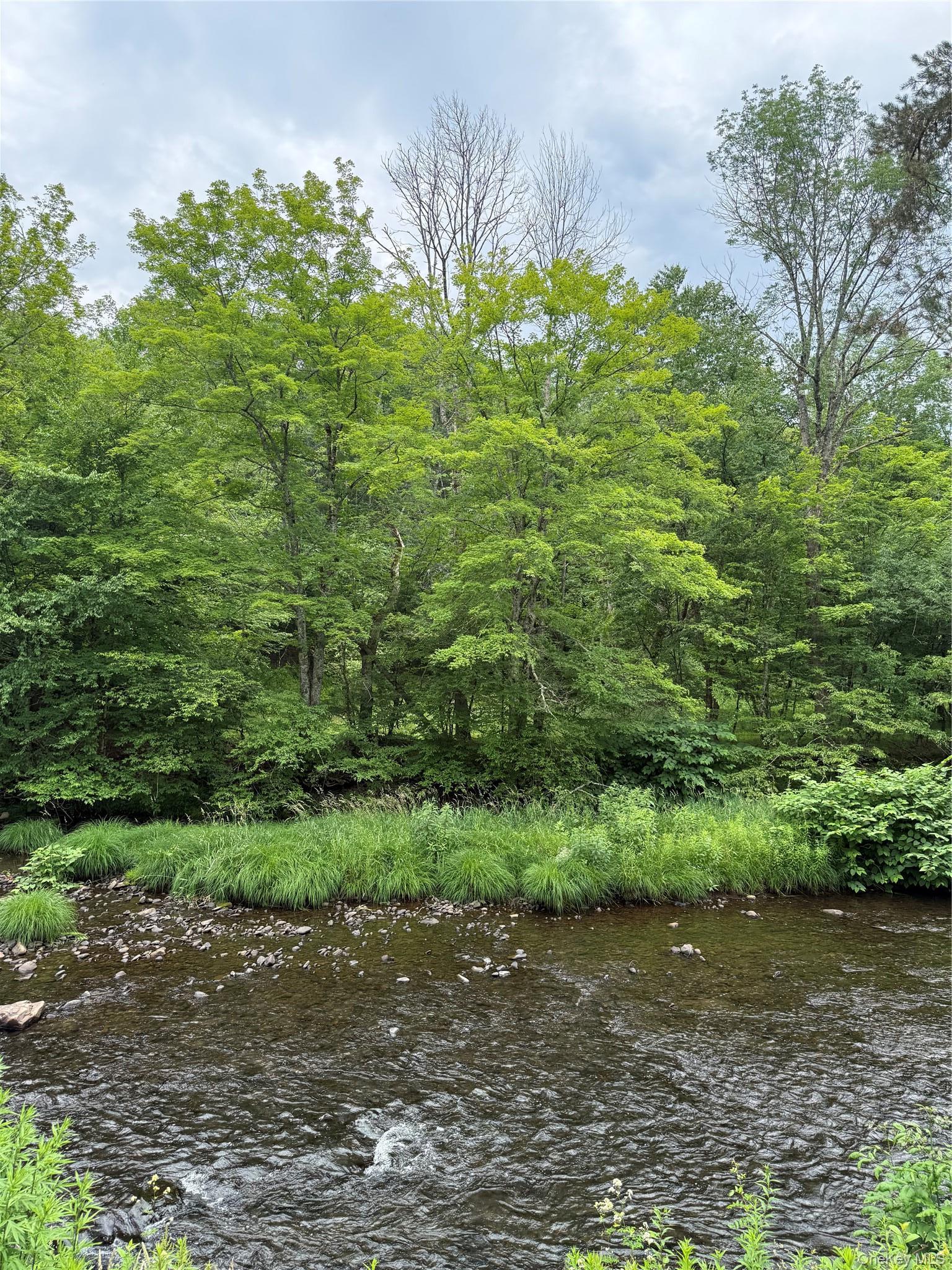 Single Family Debruce Road  Sullivan County, NY 12758, MLS-1019677-5