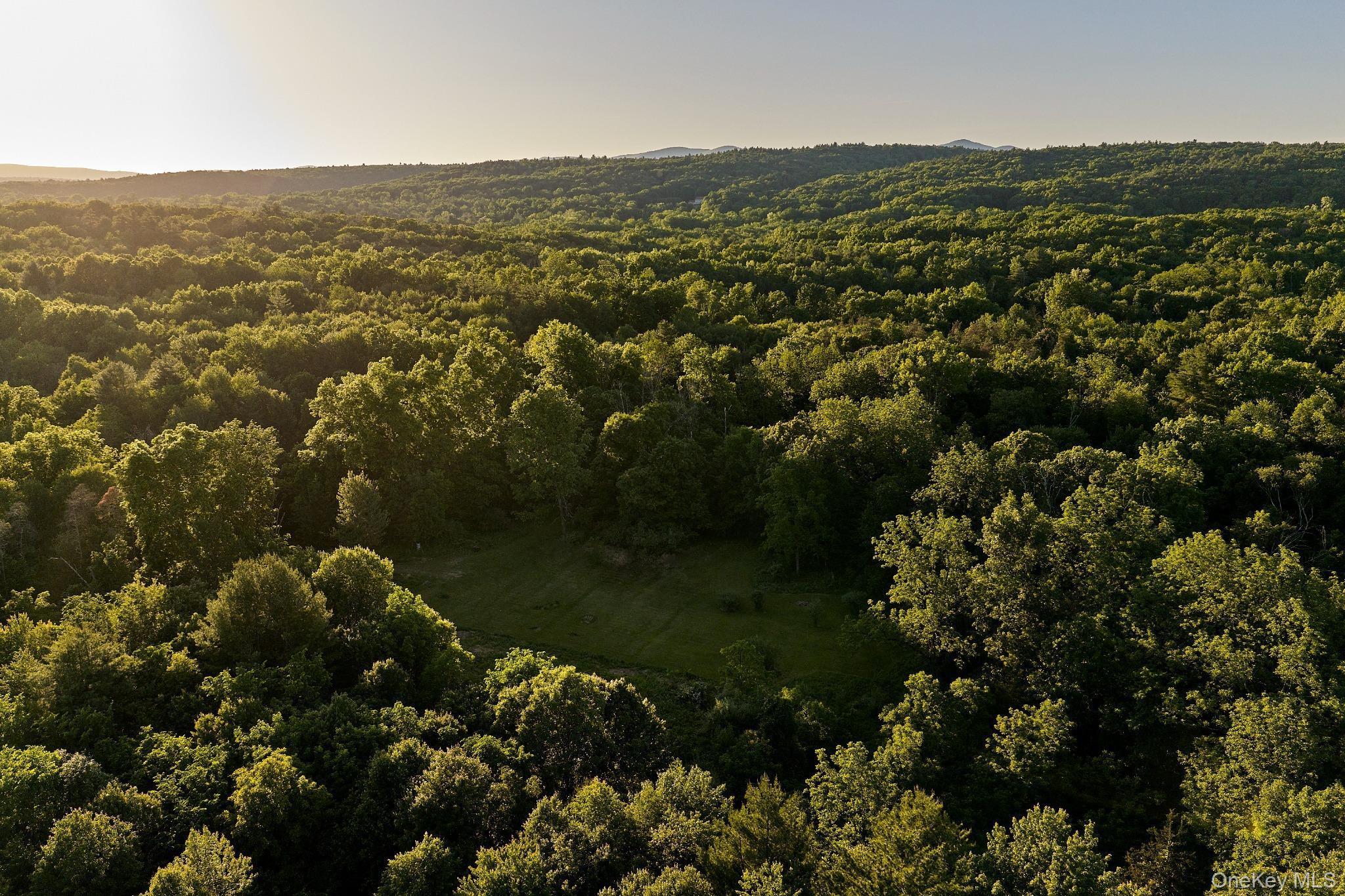 Single Family Mill Hook Road  Ulster County, NY 12404, MLS-1019695-25