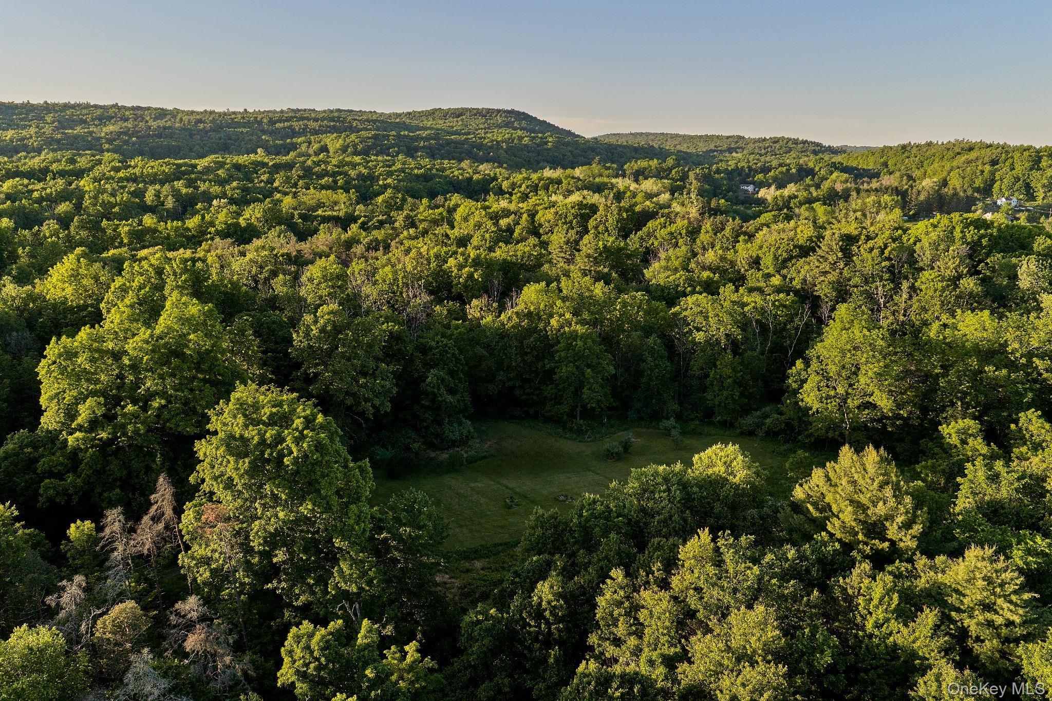Single Family Mill Hook Road  Ulster County, NY 12404, MLS-1019695-27