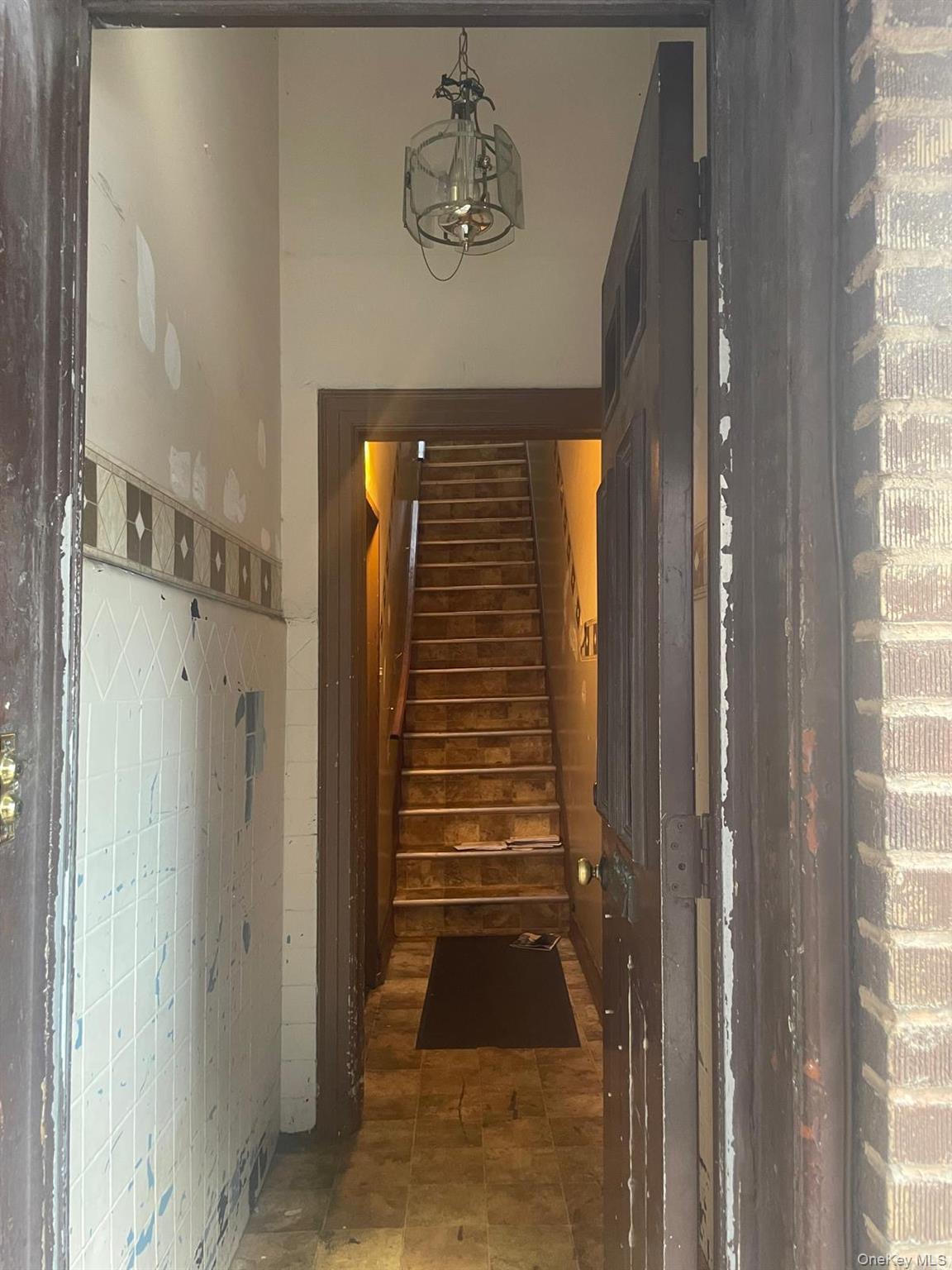 Single Family Gates Avenue Brooklyn, NY 11237, MLS-1019696-3