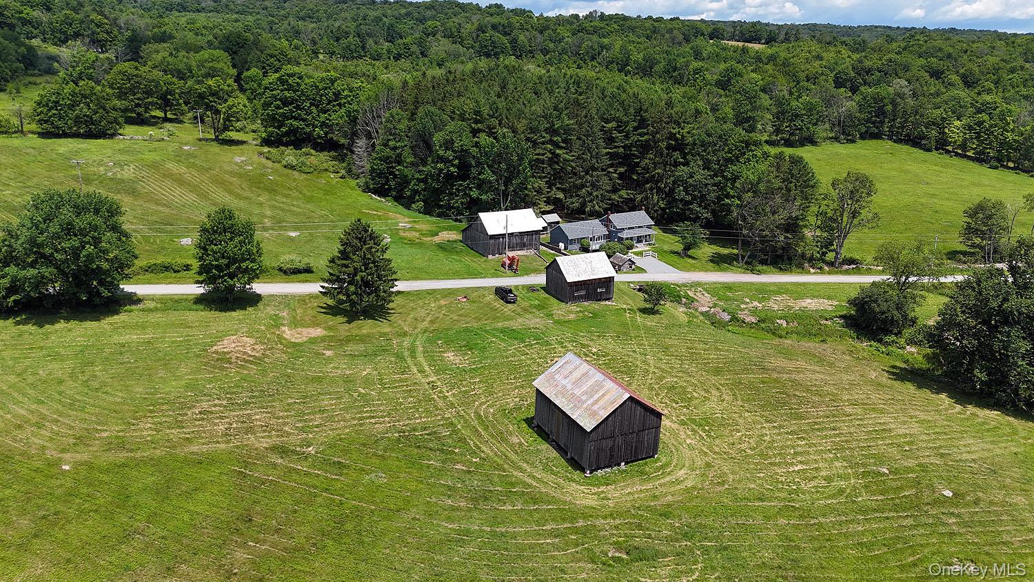 Single Family Henderson Road  Sullivan County, NY 12741, MLS-1019802-3