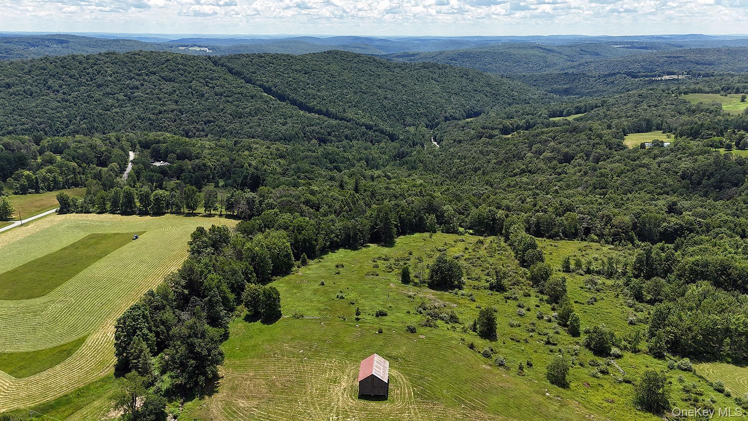 Single Family Henderson Road  Sullivan County, NY 12741, MLS-1019802-4