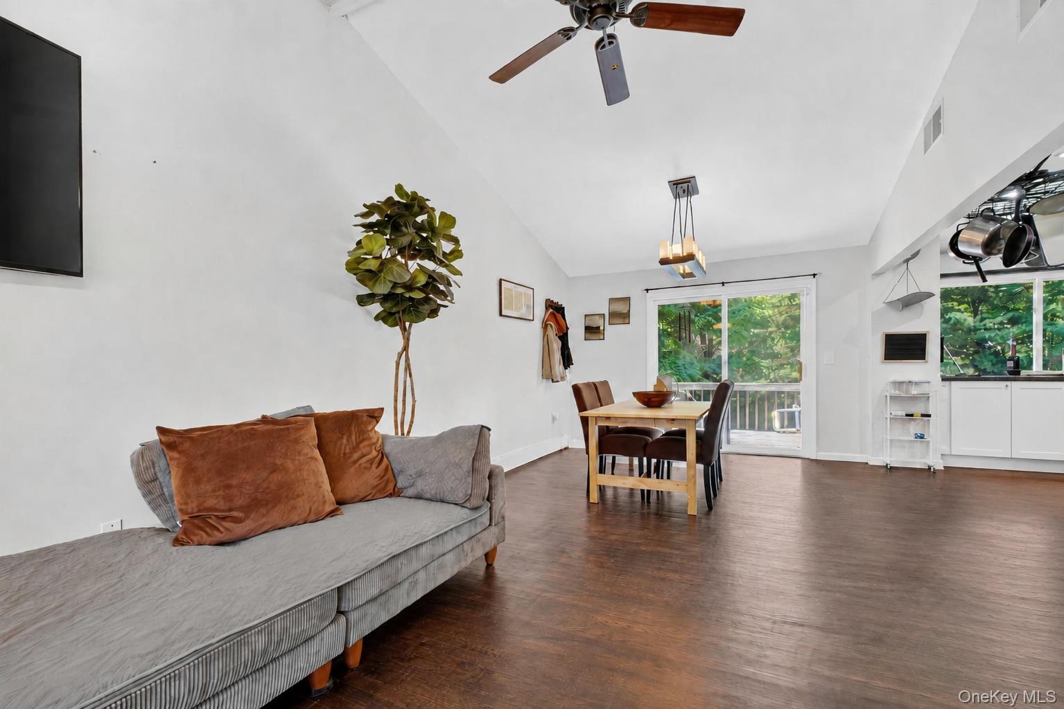 Single Family Boulevard Orange County, NY 12520, MLS-1019837-8