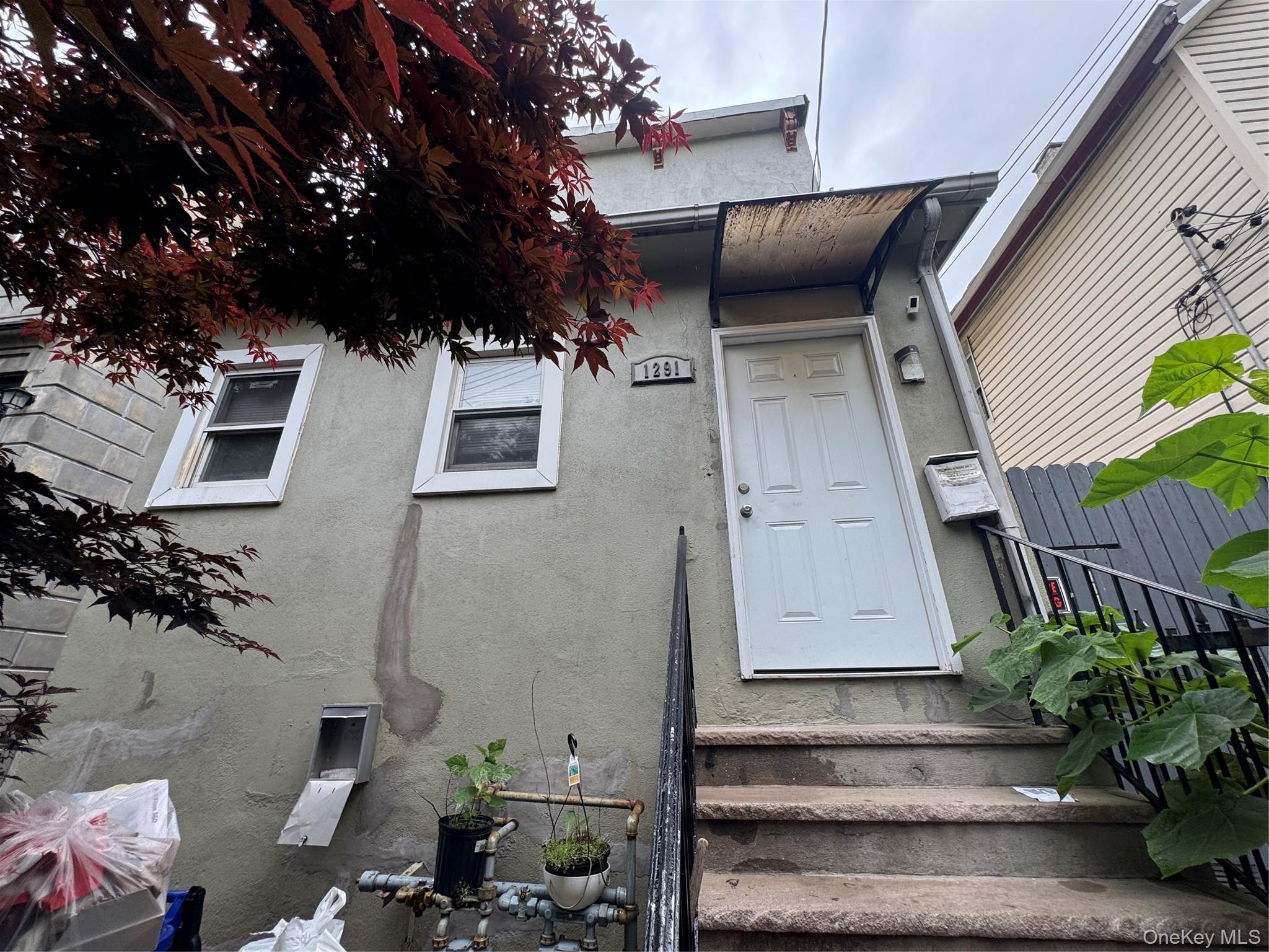Single Family Chisholm Street Bronx, NY 10459, MLS-1019888-13