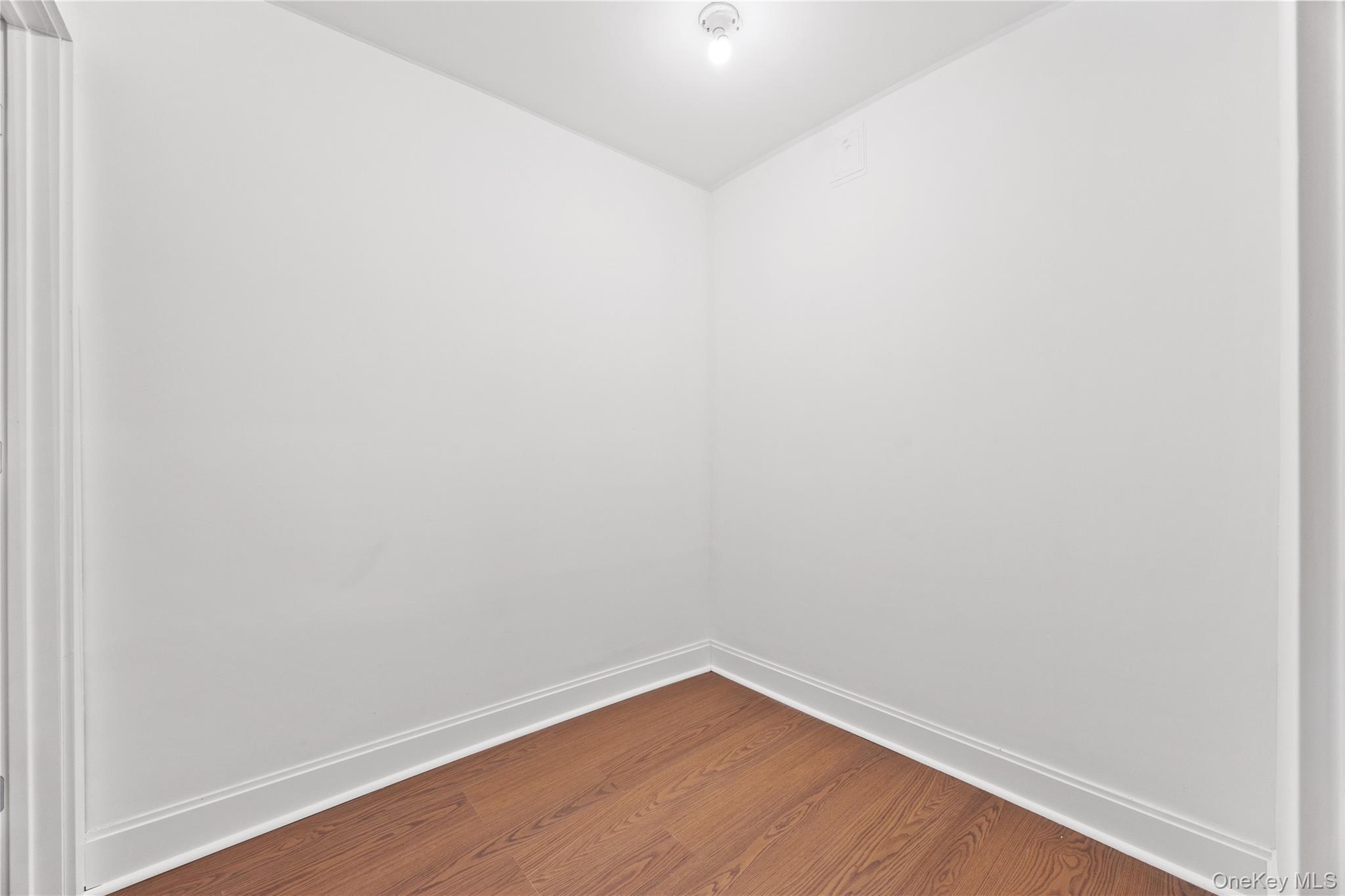 Single Family Pershing Avenue Nassau County, NY 11560, MLS-1019915-28