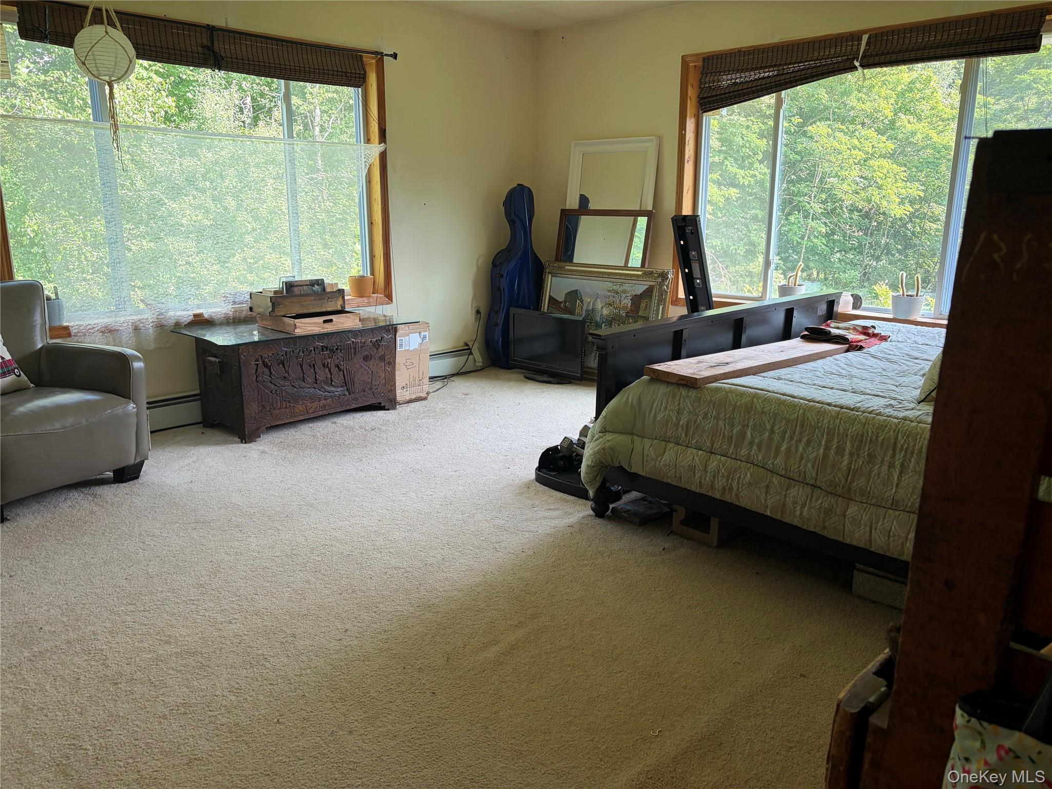 Single Family Kehrley Lane  Sullivan County, NY 12783, MLS-1019946-14