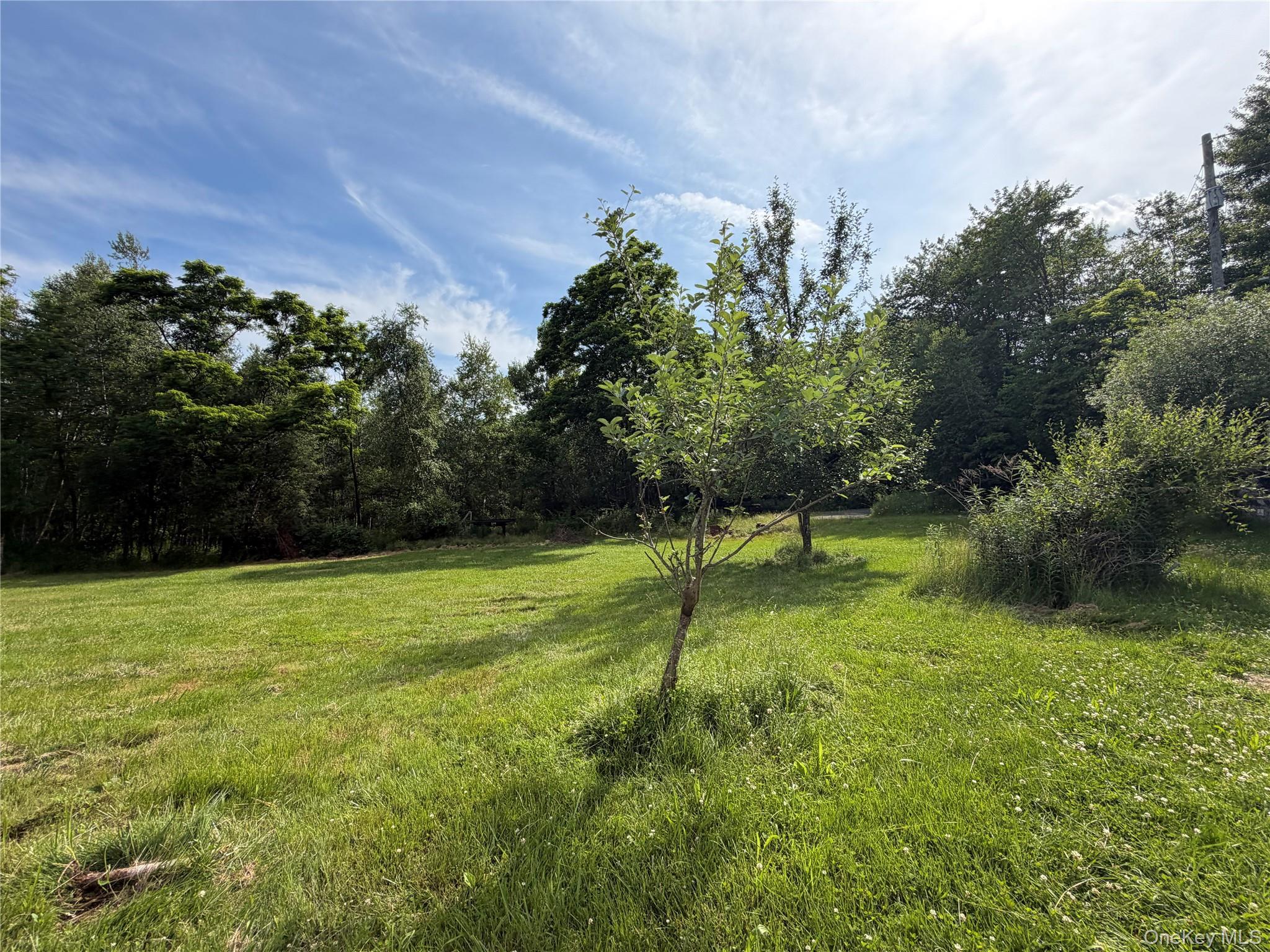 Single Family Kehrley Lane  Sullivan County, NY 12783, MLS-1019946-5