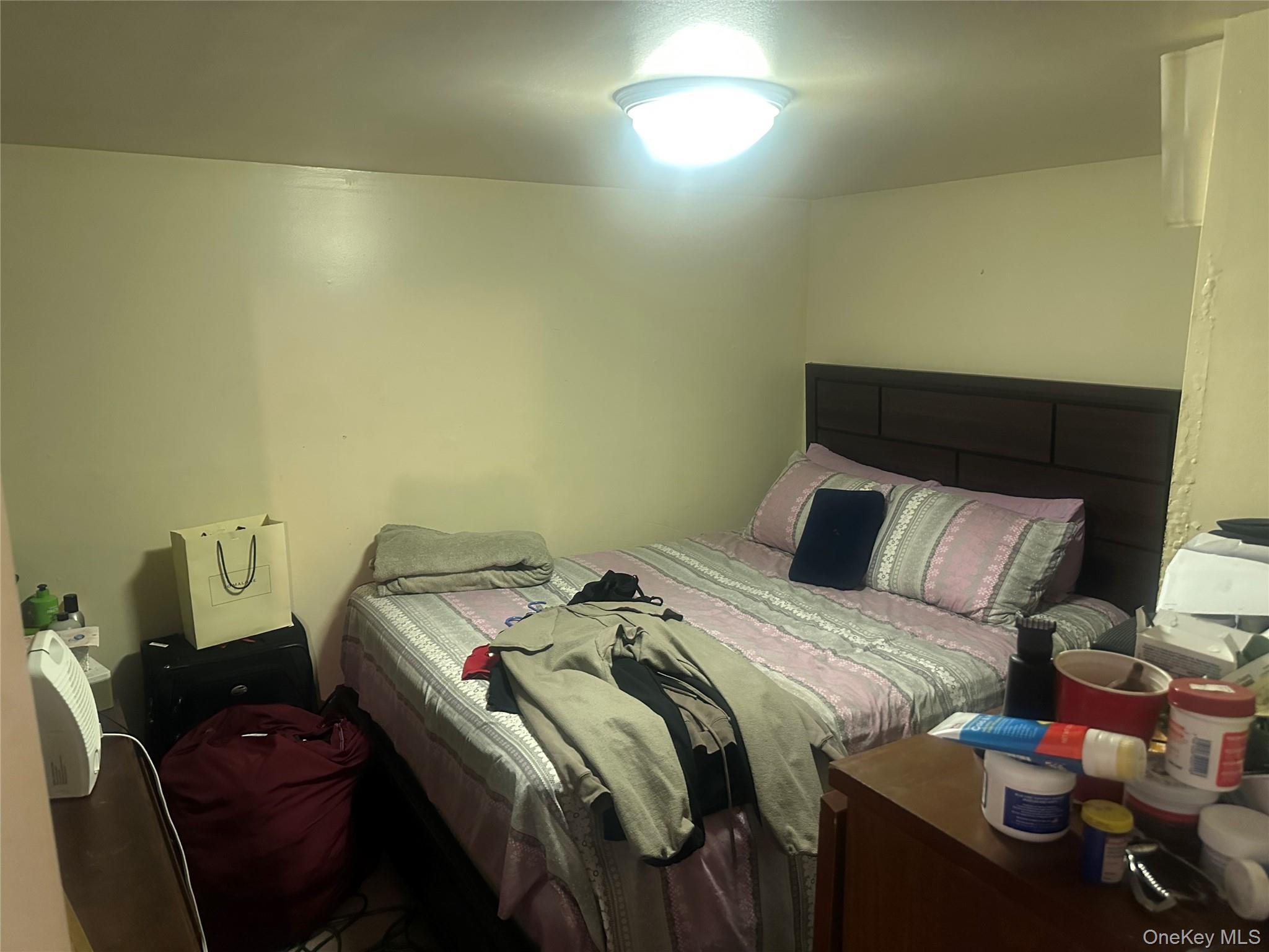 Single Family E 101st Street  Brooklyn, NY 11236, MLS-1019948-11
