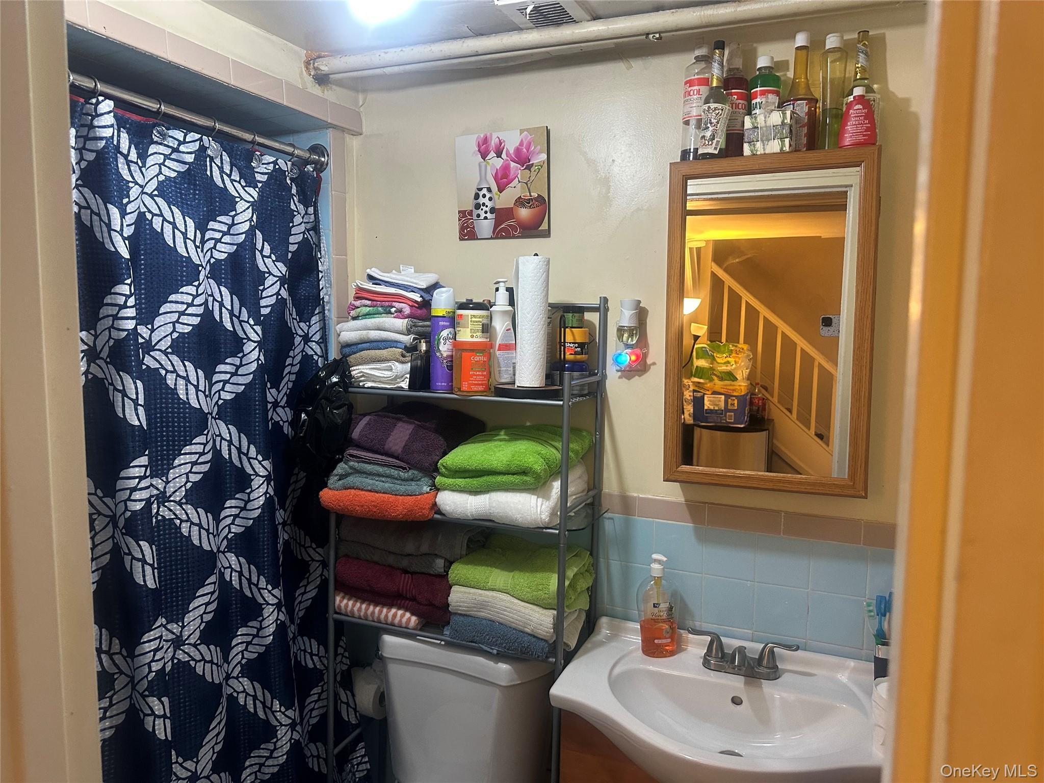 Single Family E 101st Street  Brooklyn, NY 11236, MLS-1019948-8