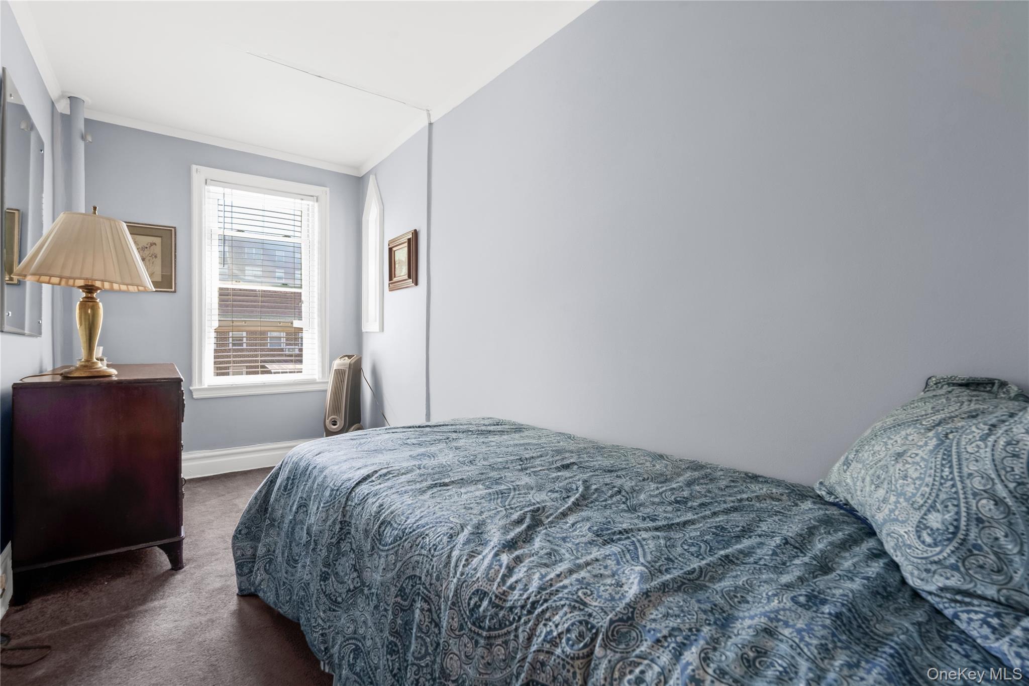 Single Family E 29th Street  Brooklyn, NY 11229, MLS-1019954-12