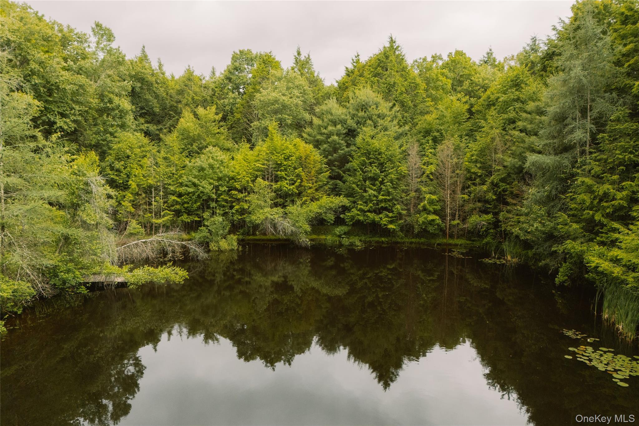 Single Family County Road 115  Sullivan County, NY 12726, MLS-1019964-50