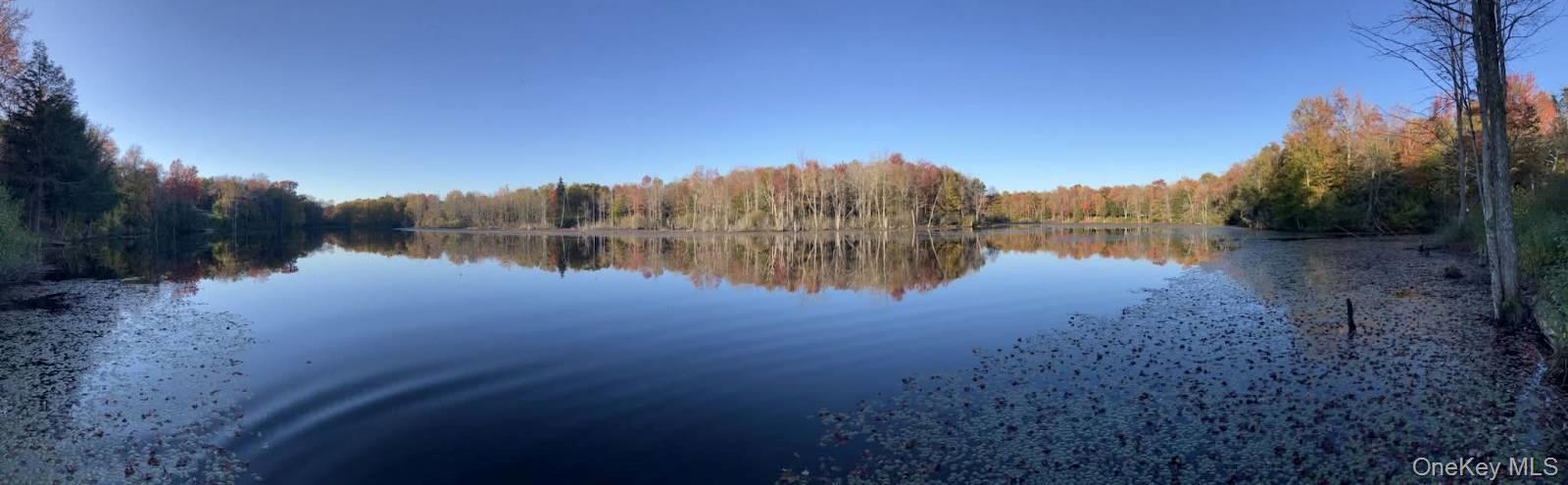 Single Family County Route 15 Out Of Area, NY 13083, MLS-1019972-7