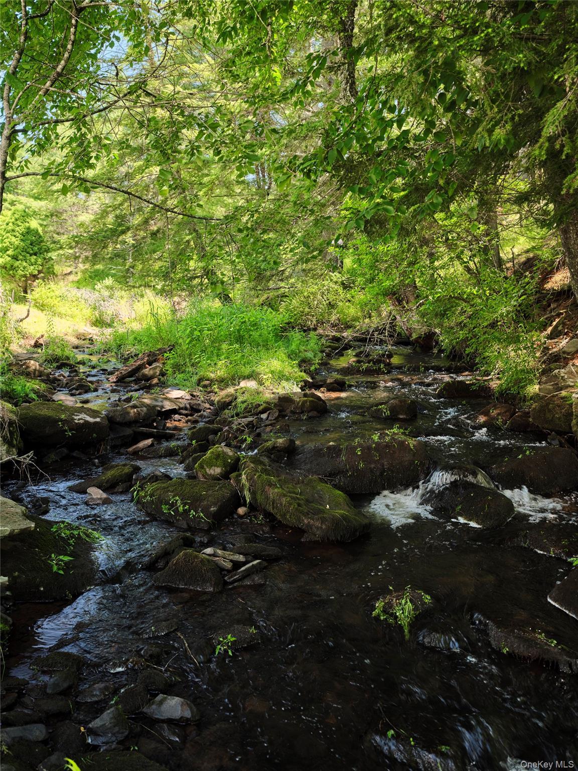 Single Family County Road 116  Sullivan County, NY 12726, MLS-1020024-32