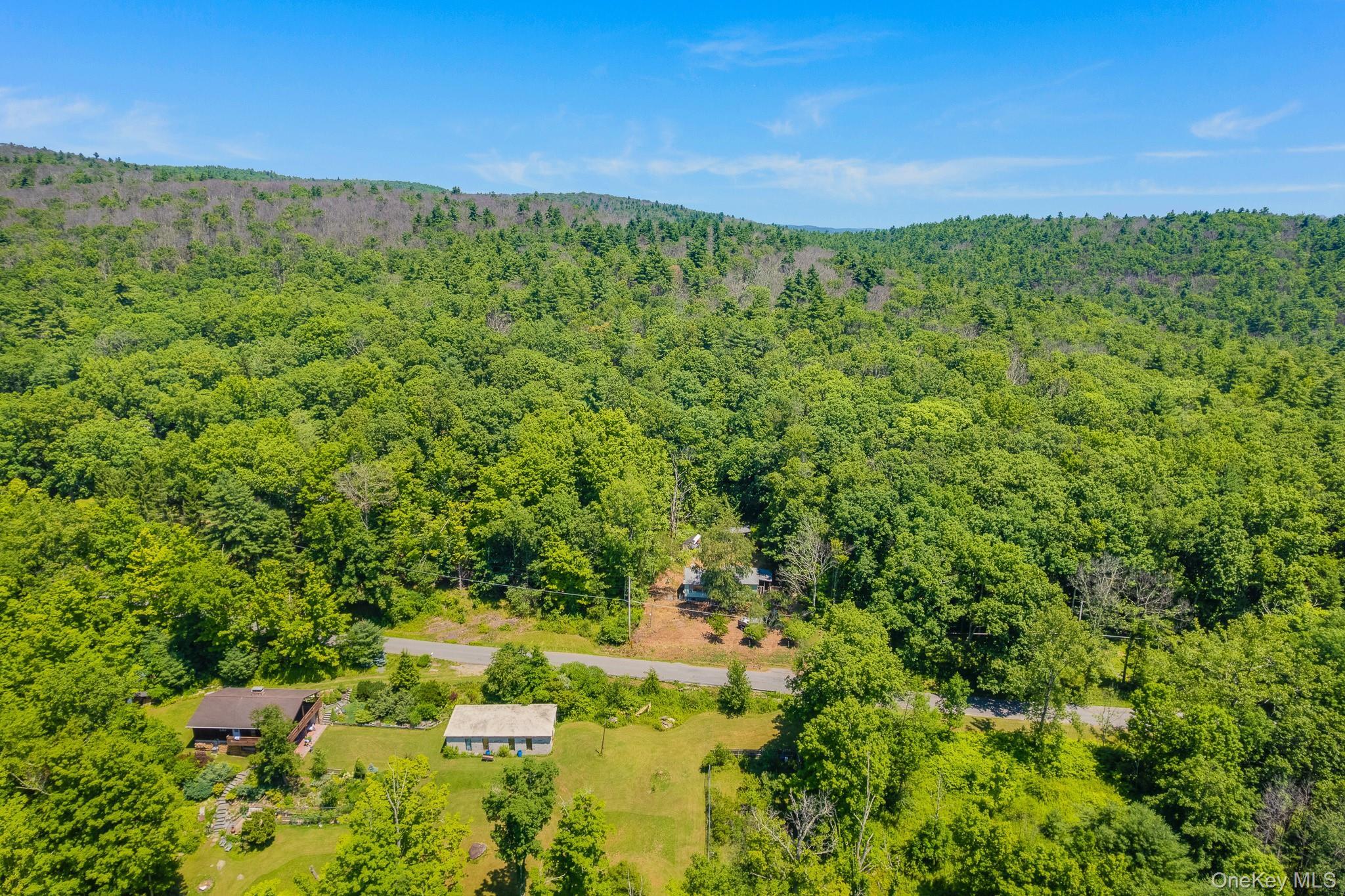 Single Family Irish Cape Road  Ulster County, NY 12458, MLS-1020026-2