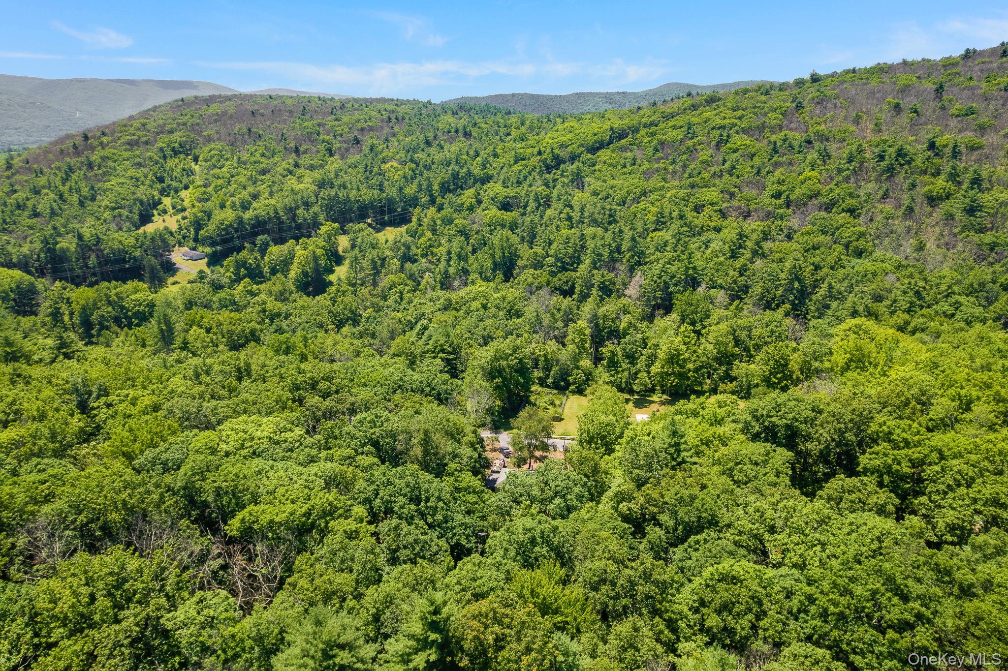 Single Family Irish Cape Road  Ulster County, NY 12458, MLS-1020026-24