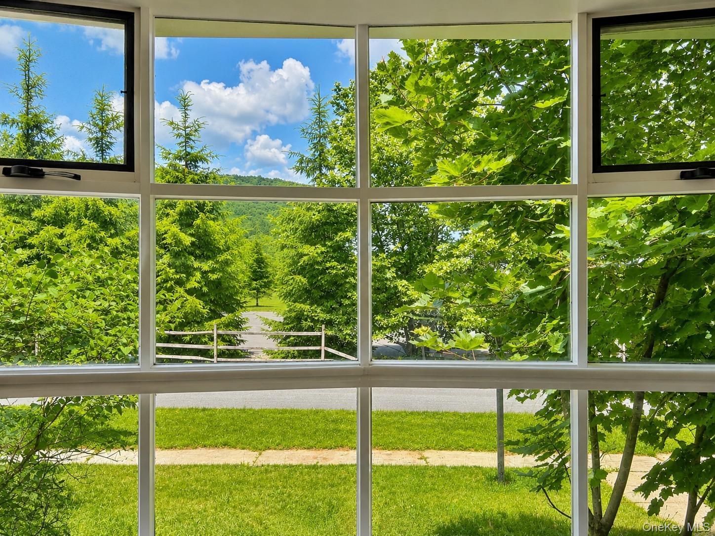 Single Family Fred Hessinger Road Sullivan County, NY 12724, MLS-1020028-8
