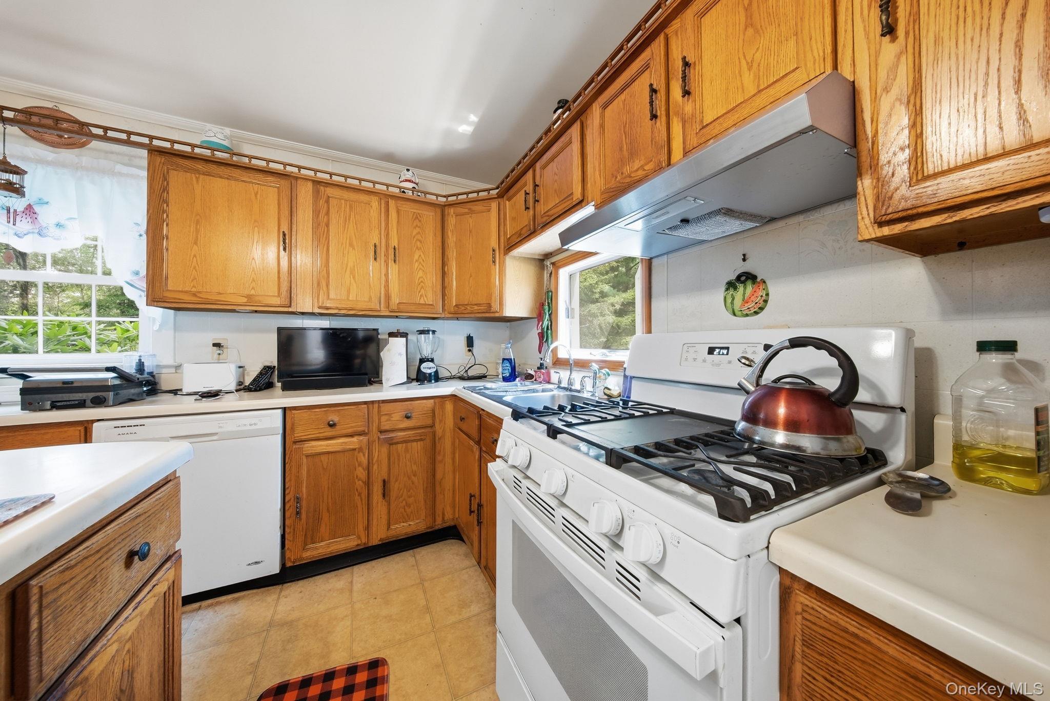 Single Family Hoffman Road  Sullivan County, NY 12741, MLS-1020034-24