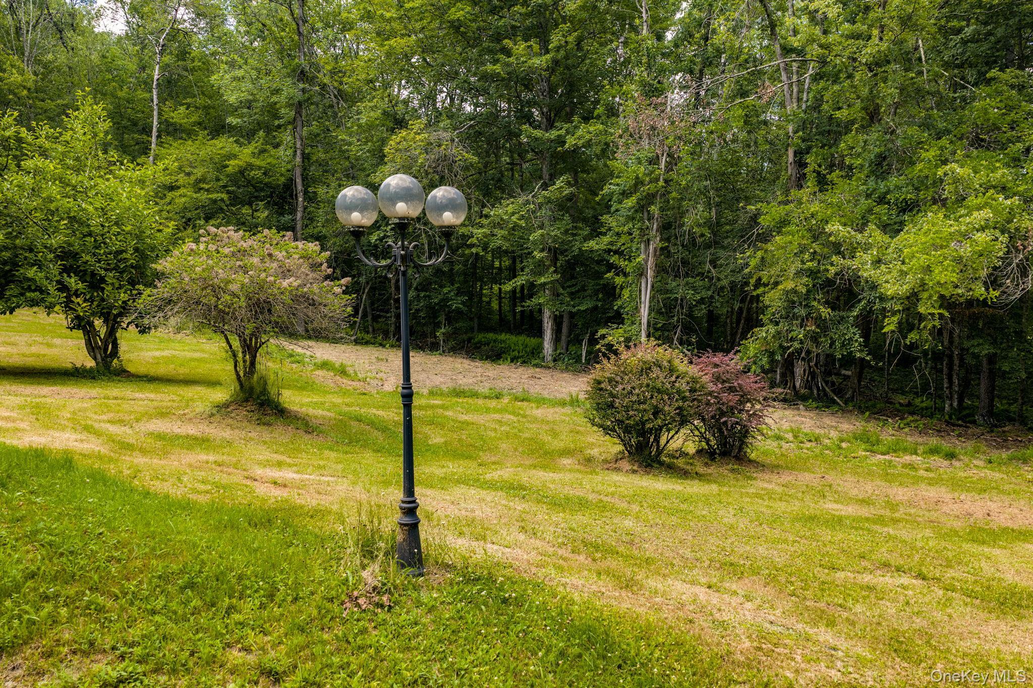 Single Family Hoffman Road  Sullivan County, NY 12741, MLS-1020034-29