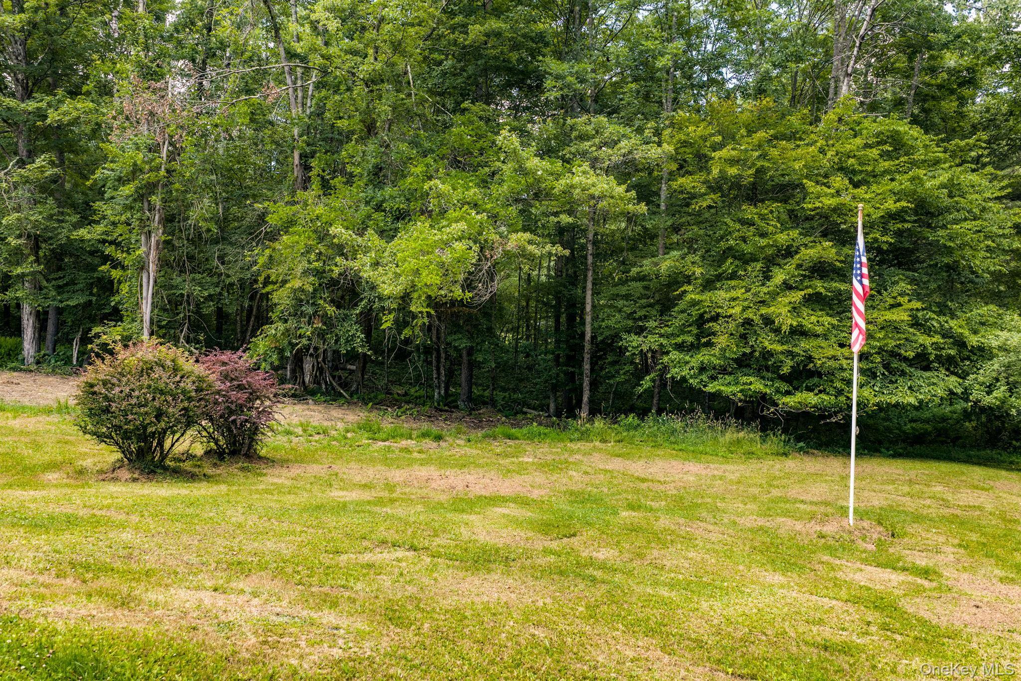 Single Family Hoffman Road  Sullivan County, NY 12741, MLS-1020034-30
