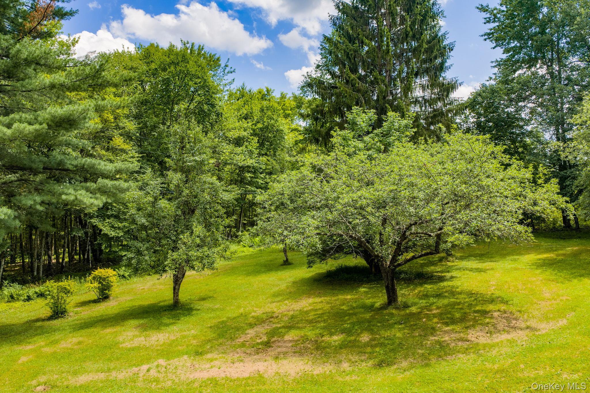 Single Family Hoffman Road  Sullivan County, NY 12741, MLS-1020034-34