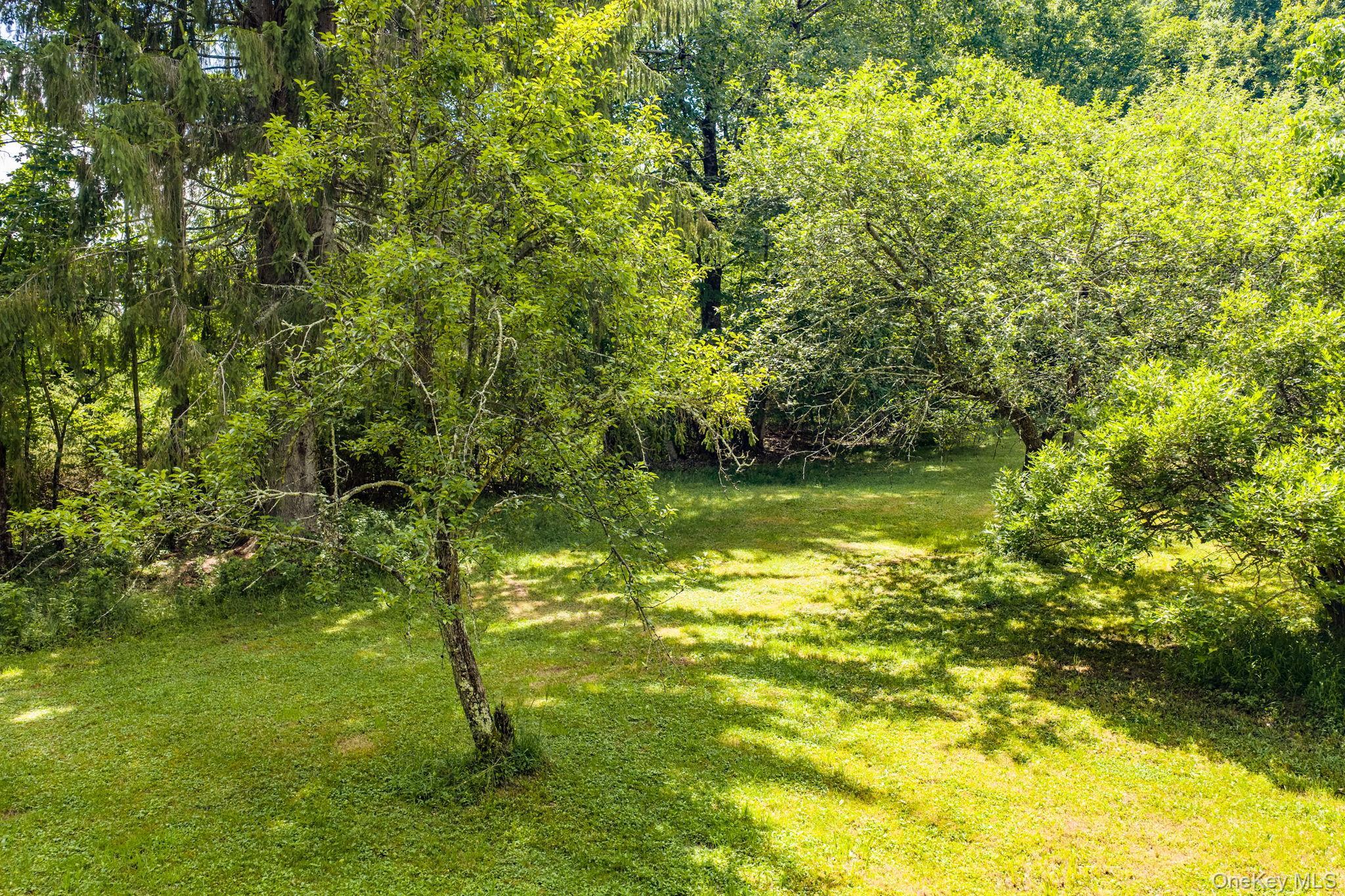 Single Family Hoffman Road  Sullivan County, NY 12741, MLS-1020034-35