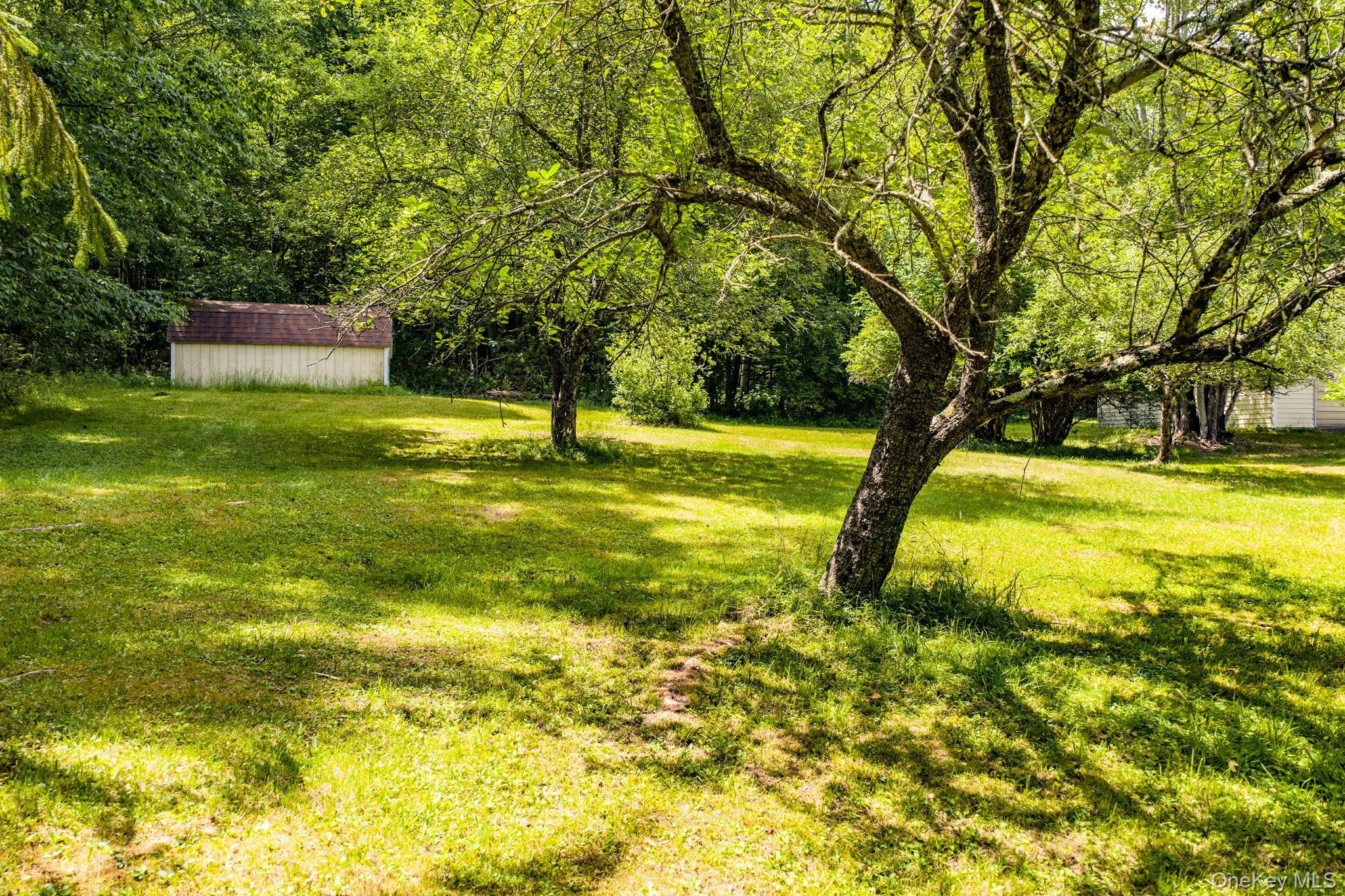 Single Family Hoffman Road  Sullivan County, NY 12741, MLS-1020034-36