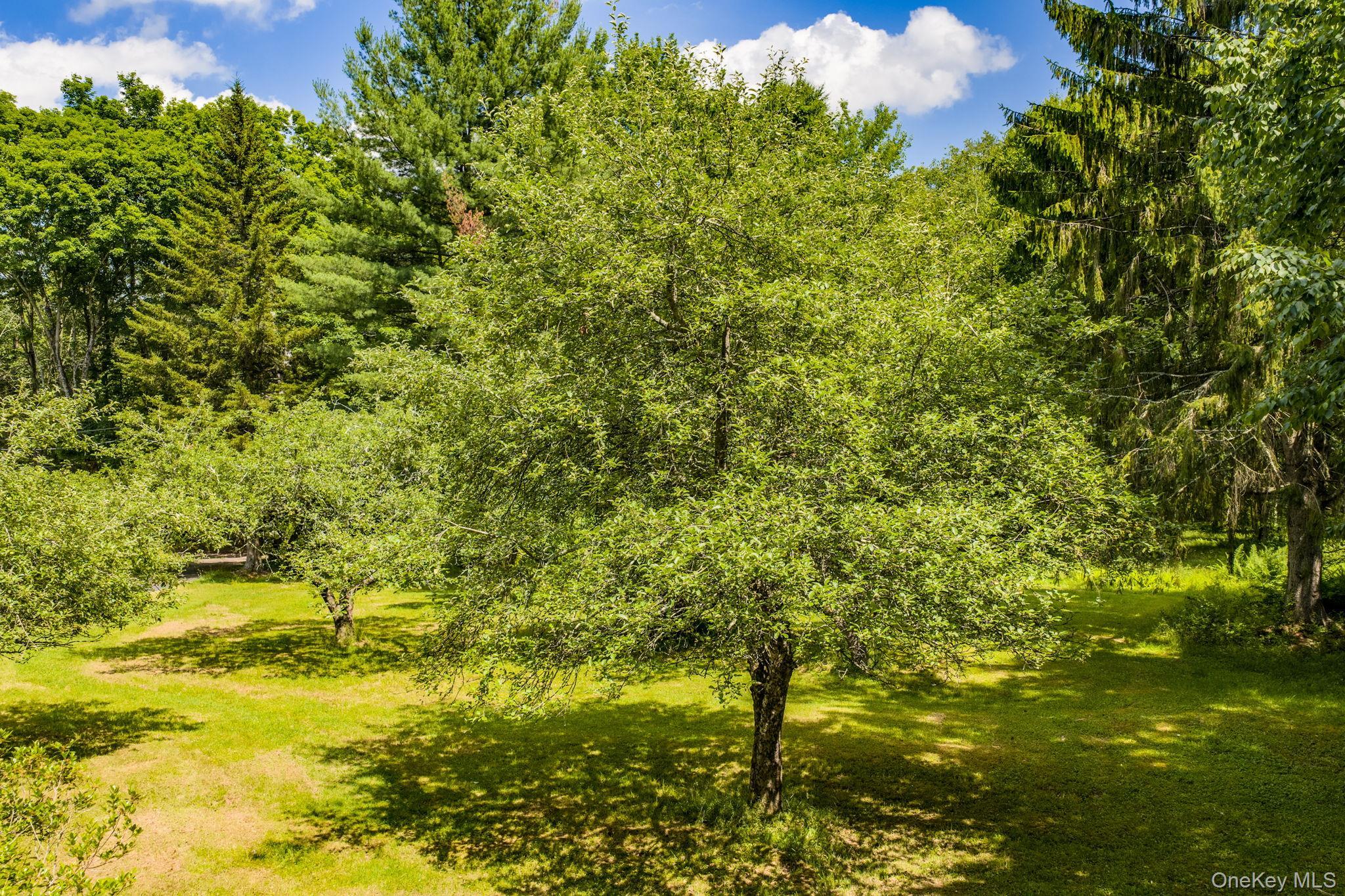 Single Family Hoffman Road  Sullivan County, NY 12741, MLS-1020034-38