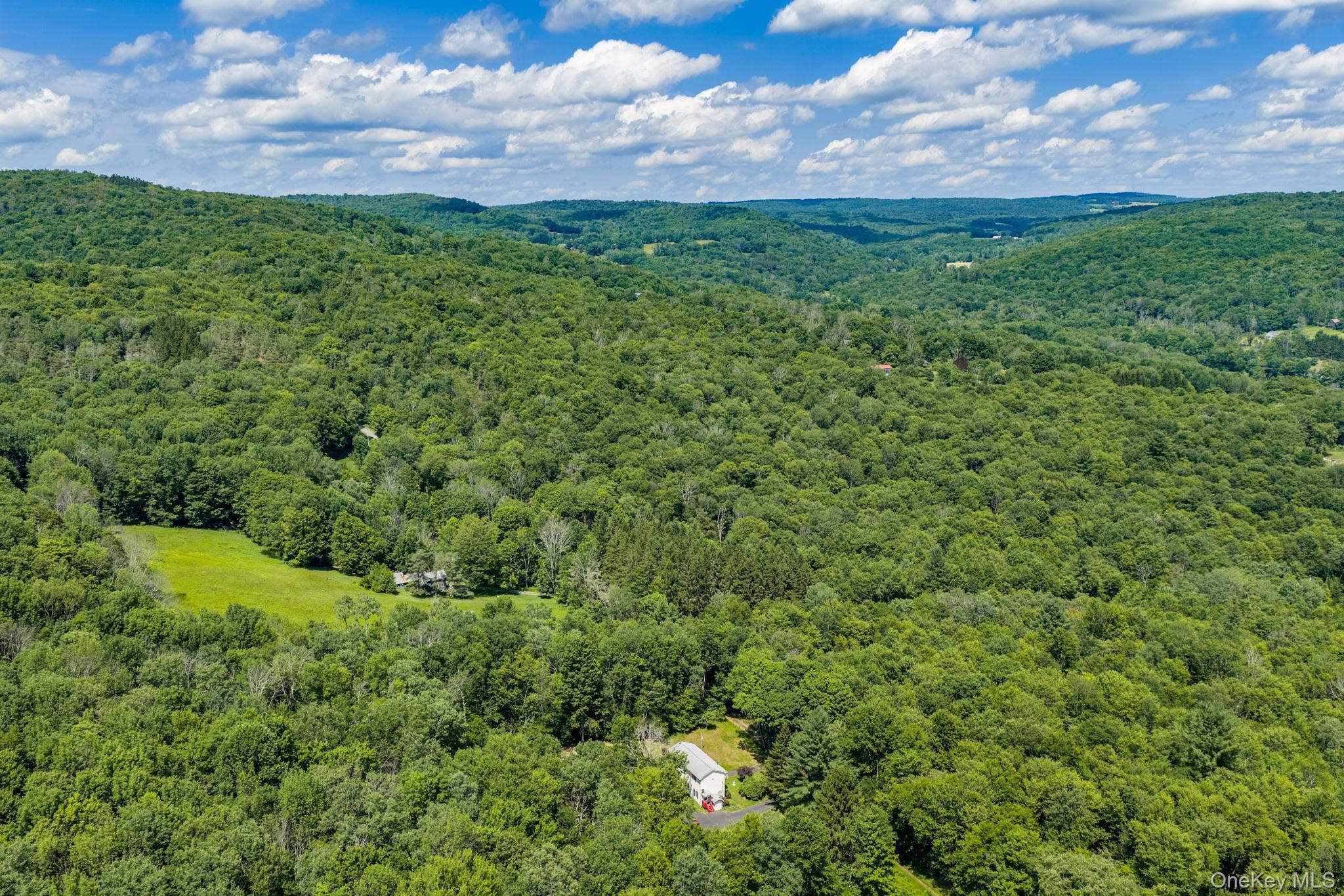 Single Family Hoffman Road  Sullivan County, NY 12741, MLS-1020034-39