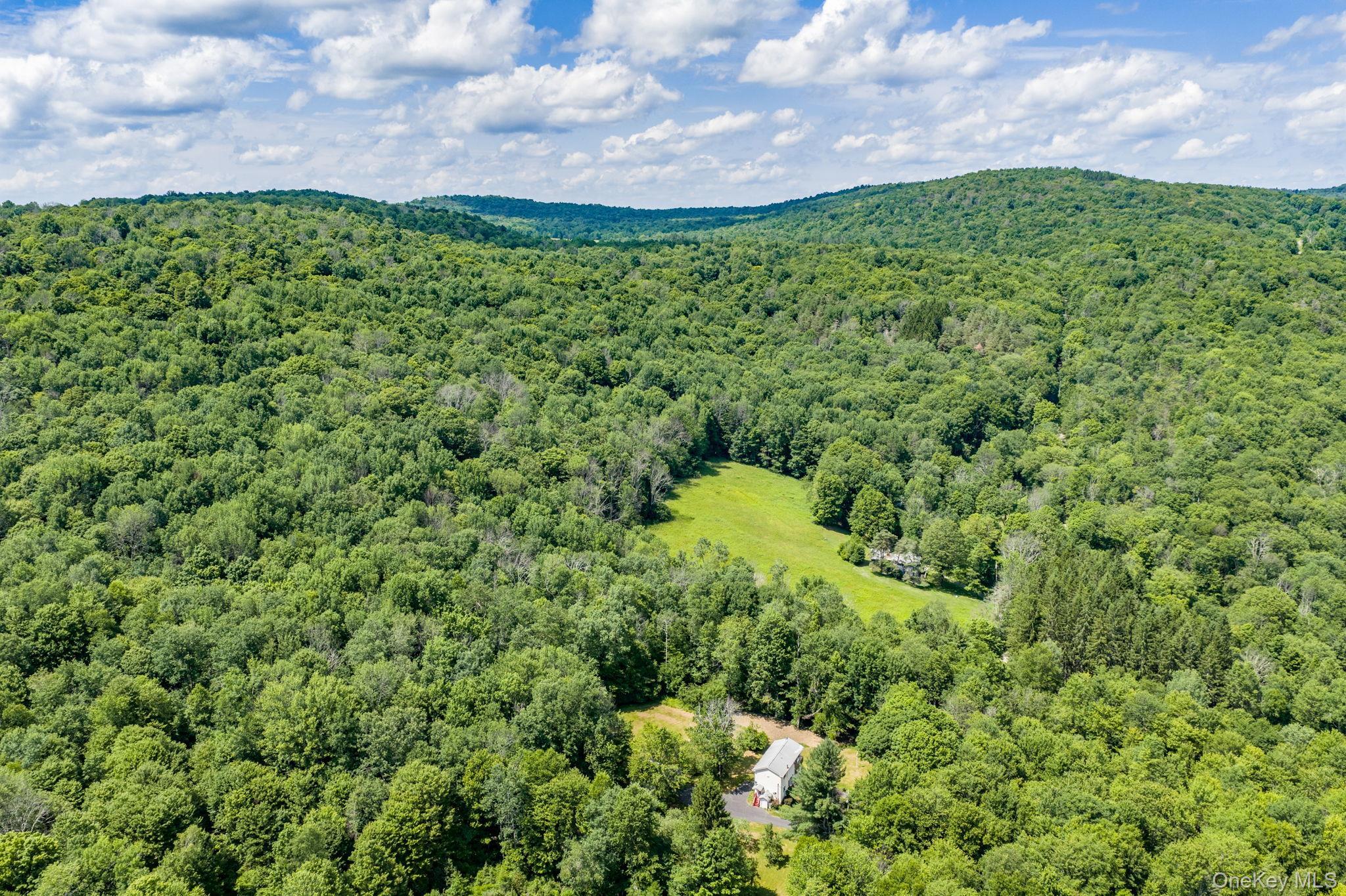 Single Family Hoffman Road  Sullivan County, NY 12741, MLS-1020034-40