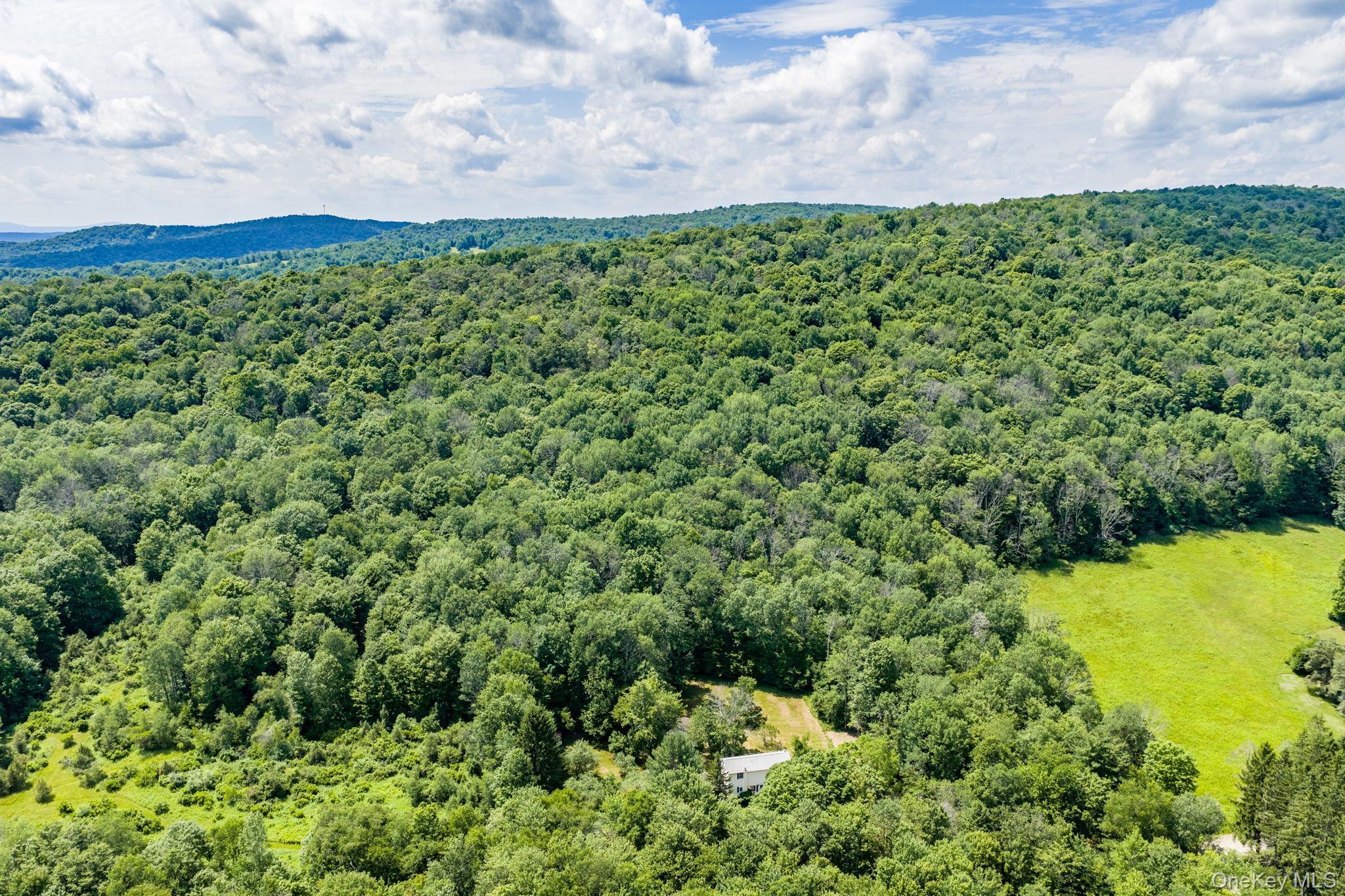 Single Family Hoffman Road  Sullivan County, NY 12741, MLS-1020034-41