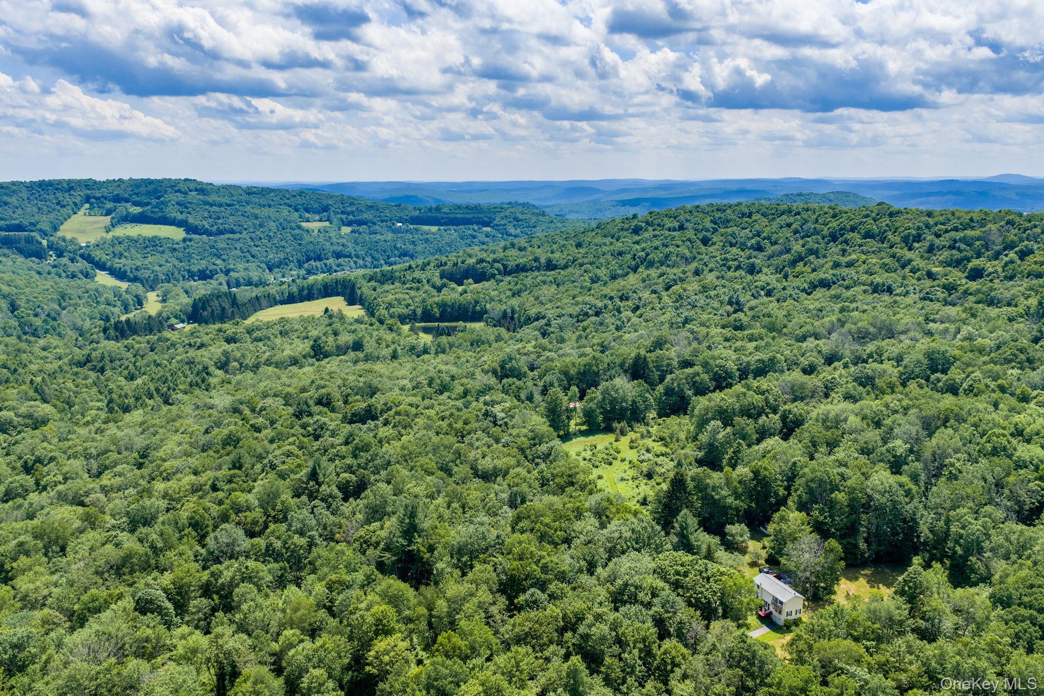 Single Family Hoffman Road  Sullivan County, NY 12741, MLS-1020034-42