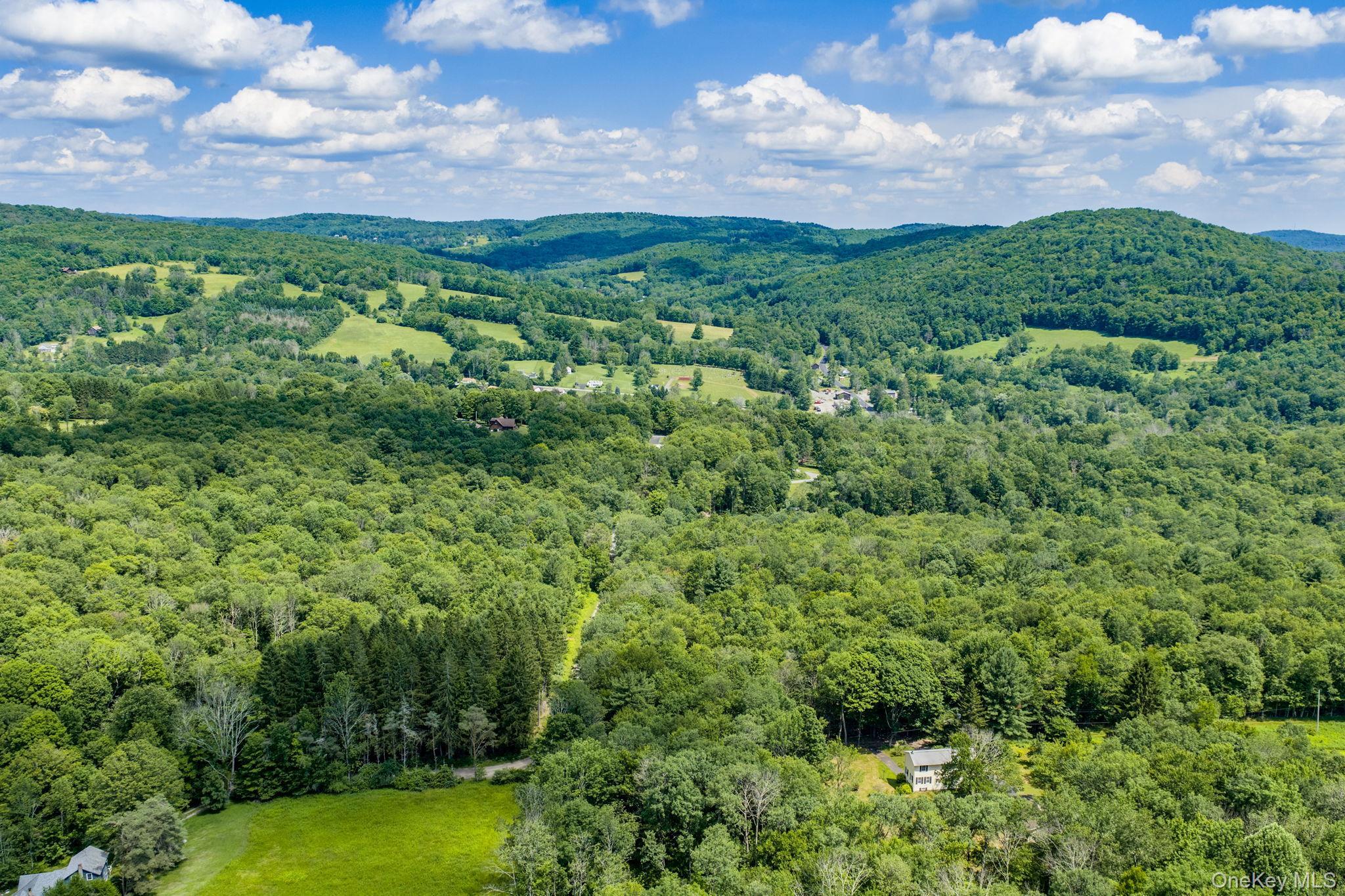Single Family Hoffman Road  Sullivan County, NY 12741, MLS-1020034-43