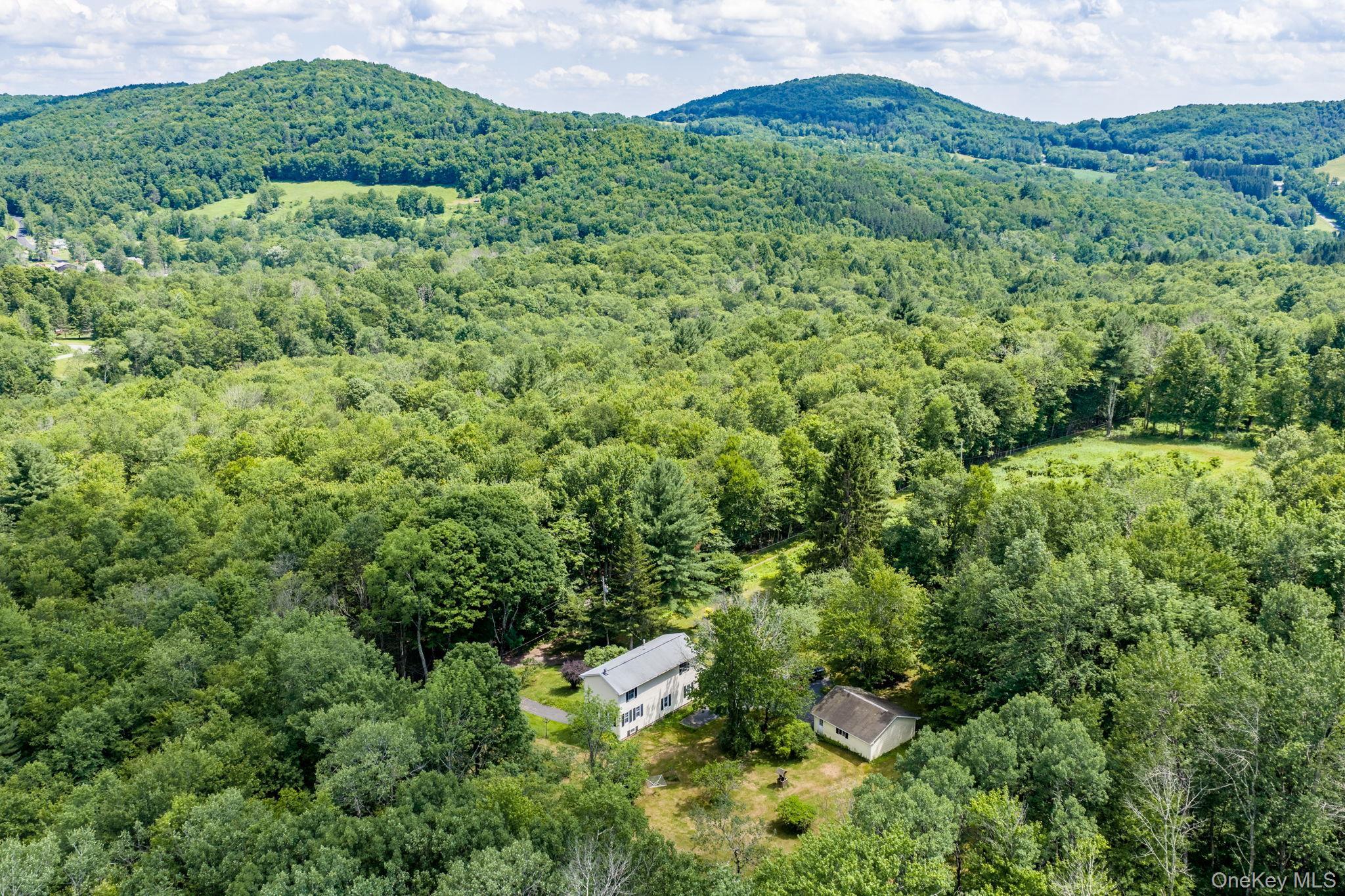 Single Family Hoffman Road  Sullivan County, NY 12741, MLS-1020034-44