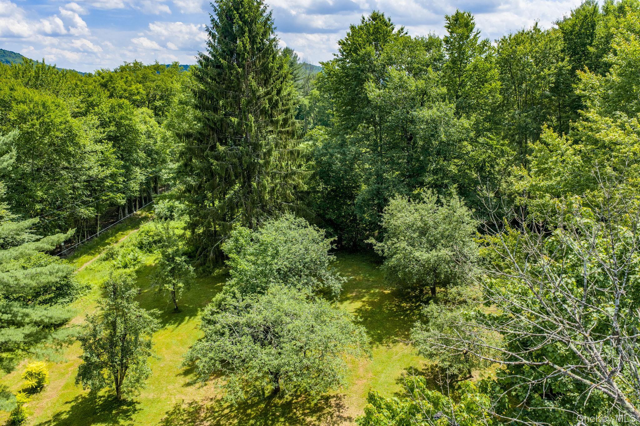 Single Family Hoffman Road  Sullivan County, NY 12741, MLS-1020034-45