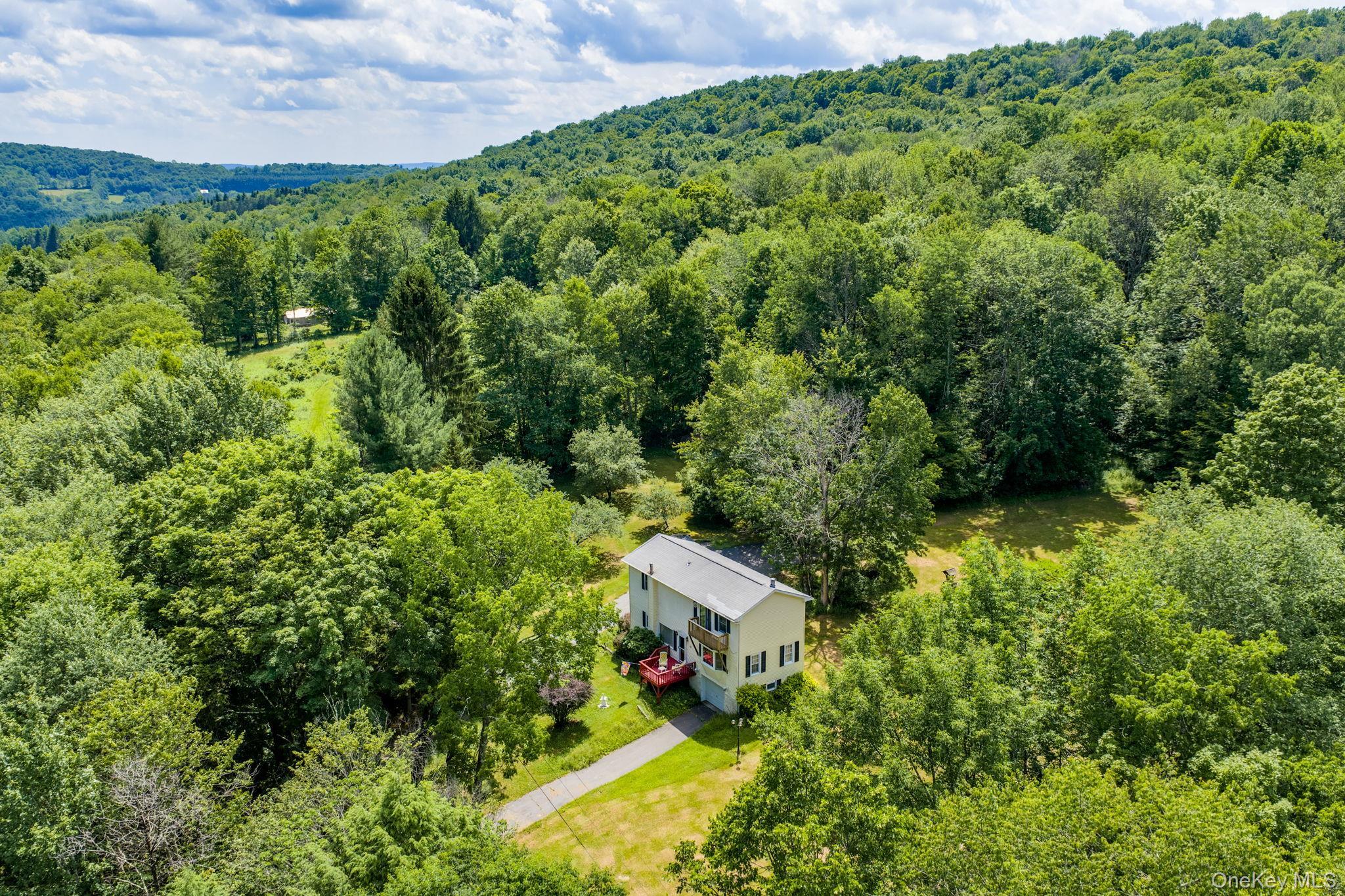 Single Family Hoffman Road  Sullivan County, NY 12741, MLS-1020034-5