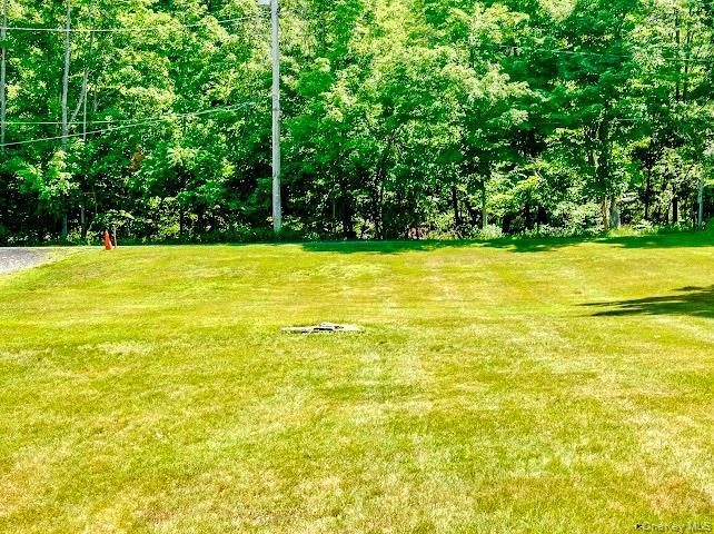 Single Family Tow Path Road Sullivan County, NY 12719, MLS-1020044-17