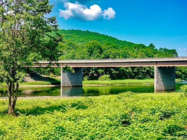 Single Family Tow Path Road Sullivan County, NY 12719, MLS-1020044-3