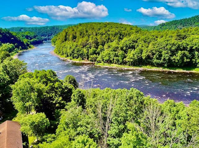 Single Family Tow Path Road Sullivan County, NY 12719, MLS-1020044-4