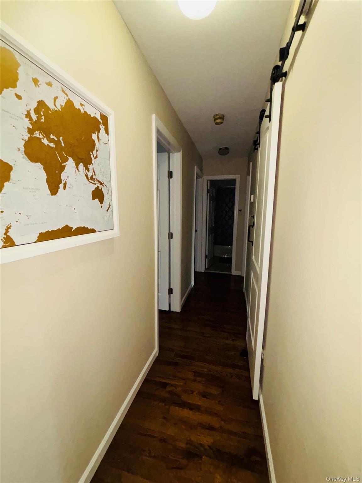 Single Family Altamont Avenue  Nassau County, NY 11579, MLS-1020045-13