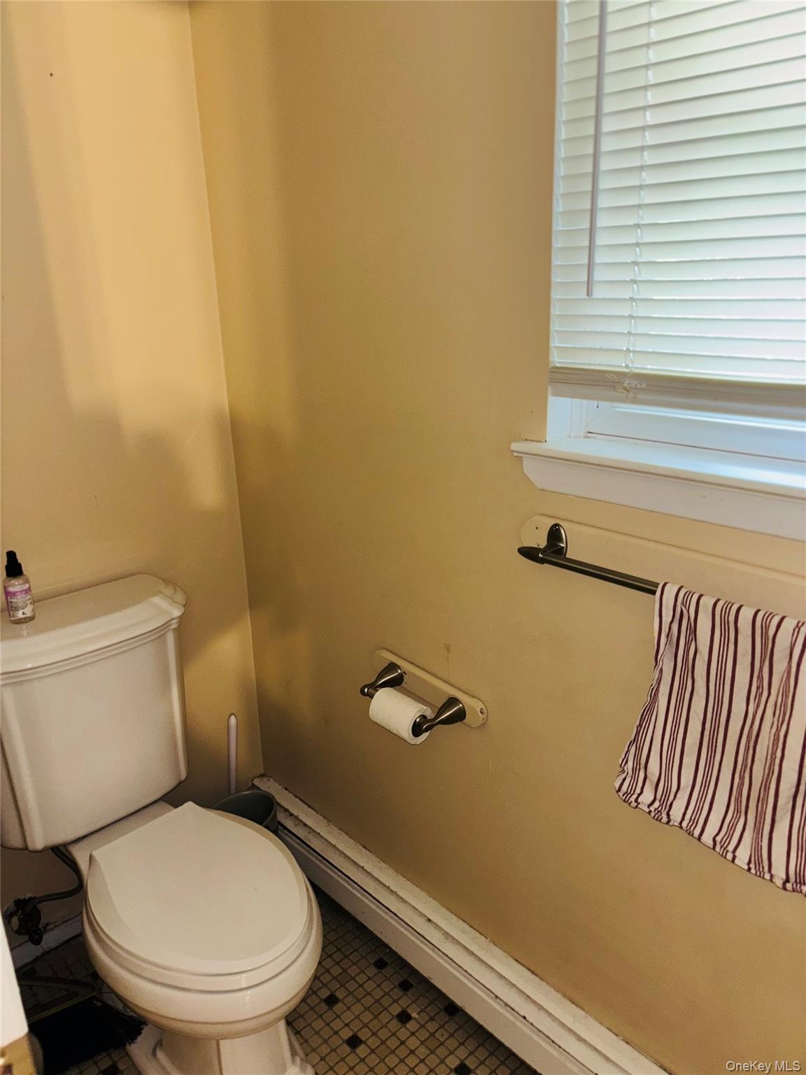 Single Family Altamont Avenue  Nassau County, NY 11579, MLS-1020045-6