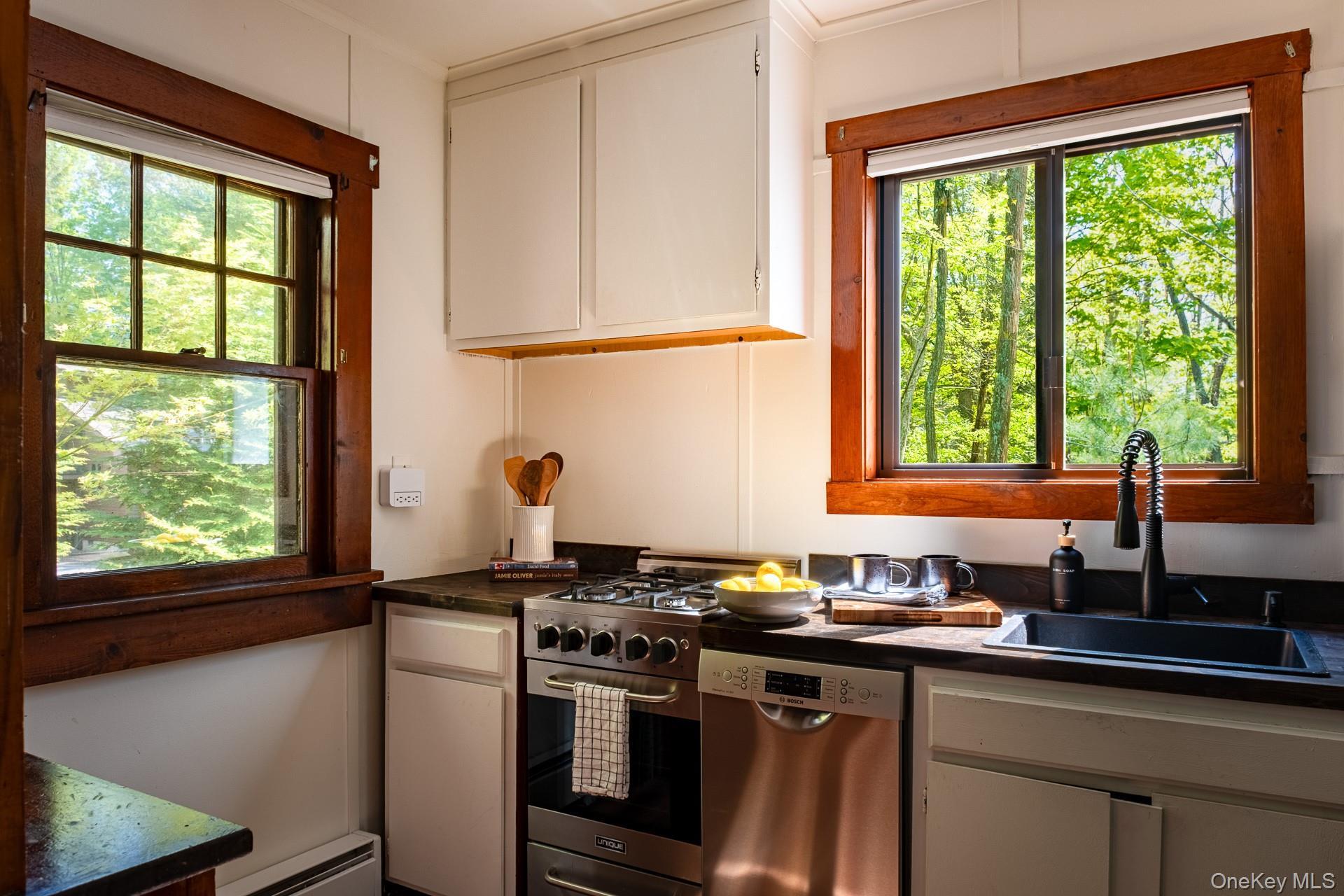 Single Family W Mitchell Street Sullivan County, NY 12778, MLS-1020052-13