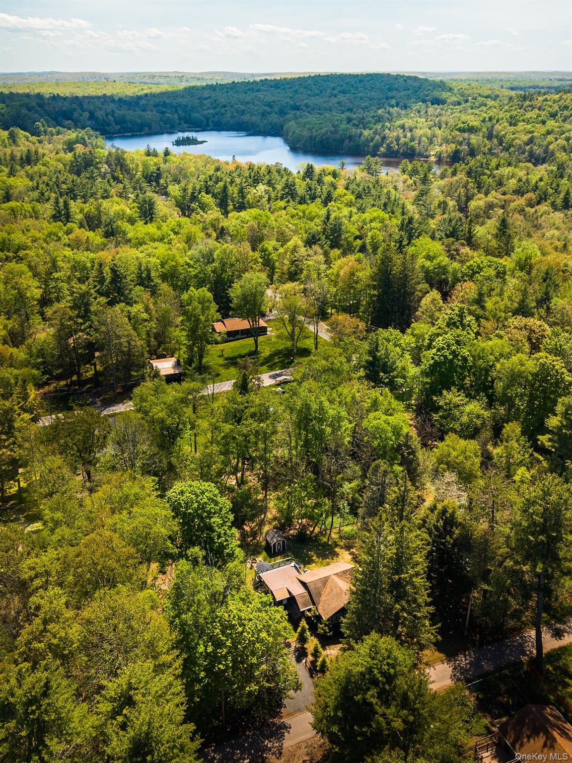 Single Family W Mitchell Street Sullivan County, NY 12778, MLS-1020052-6