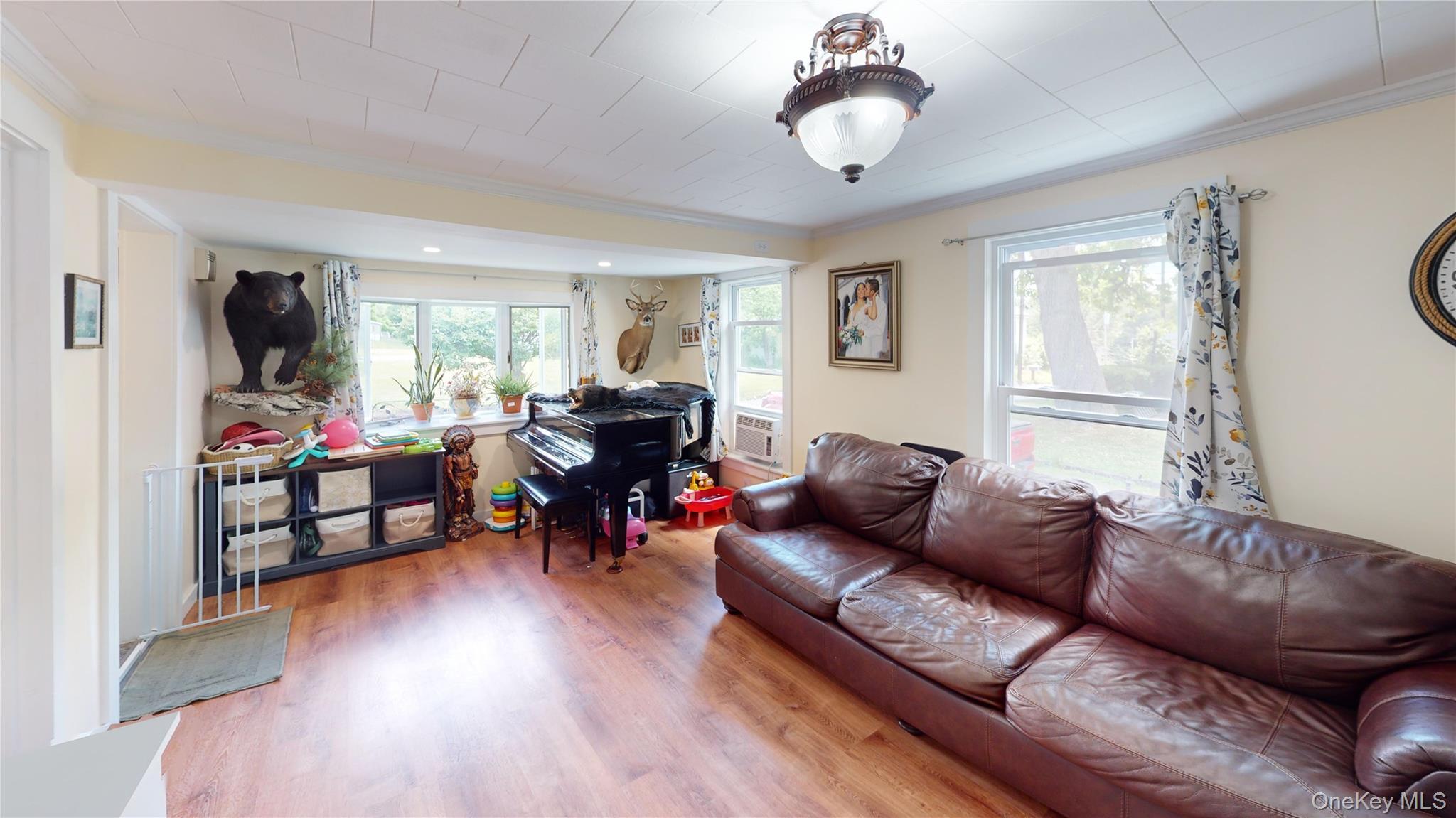 Single Family Academy Avenue Orange County, NY 12780, MLS-1020054-16