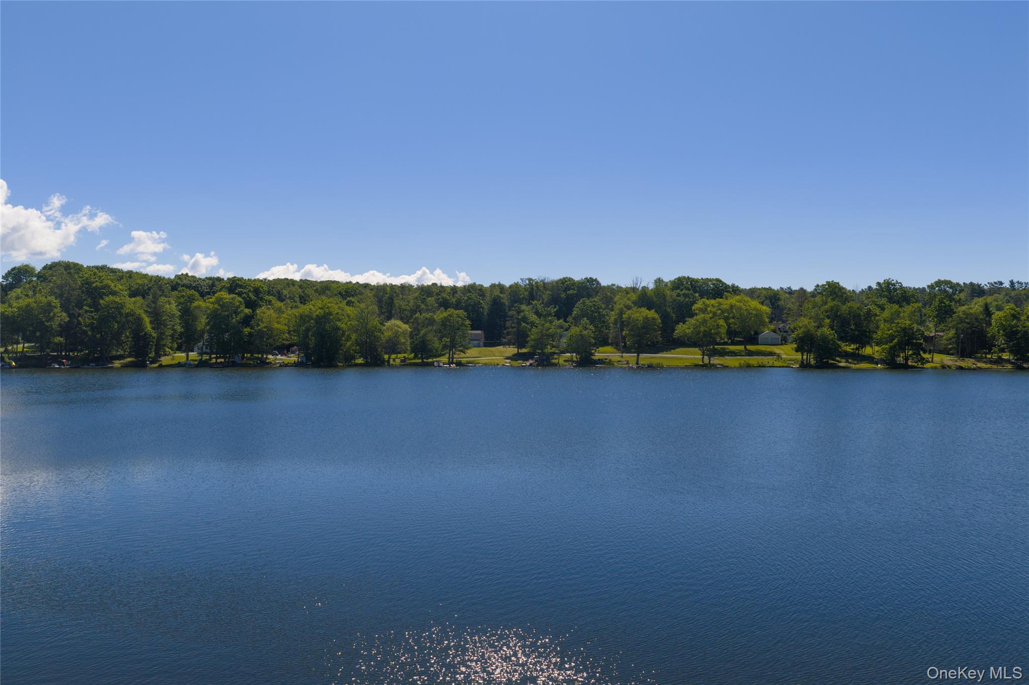 Single Family Narrowsburg Road Sullivan County, NY 12752, MLS-1020091-36