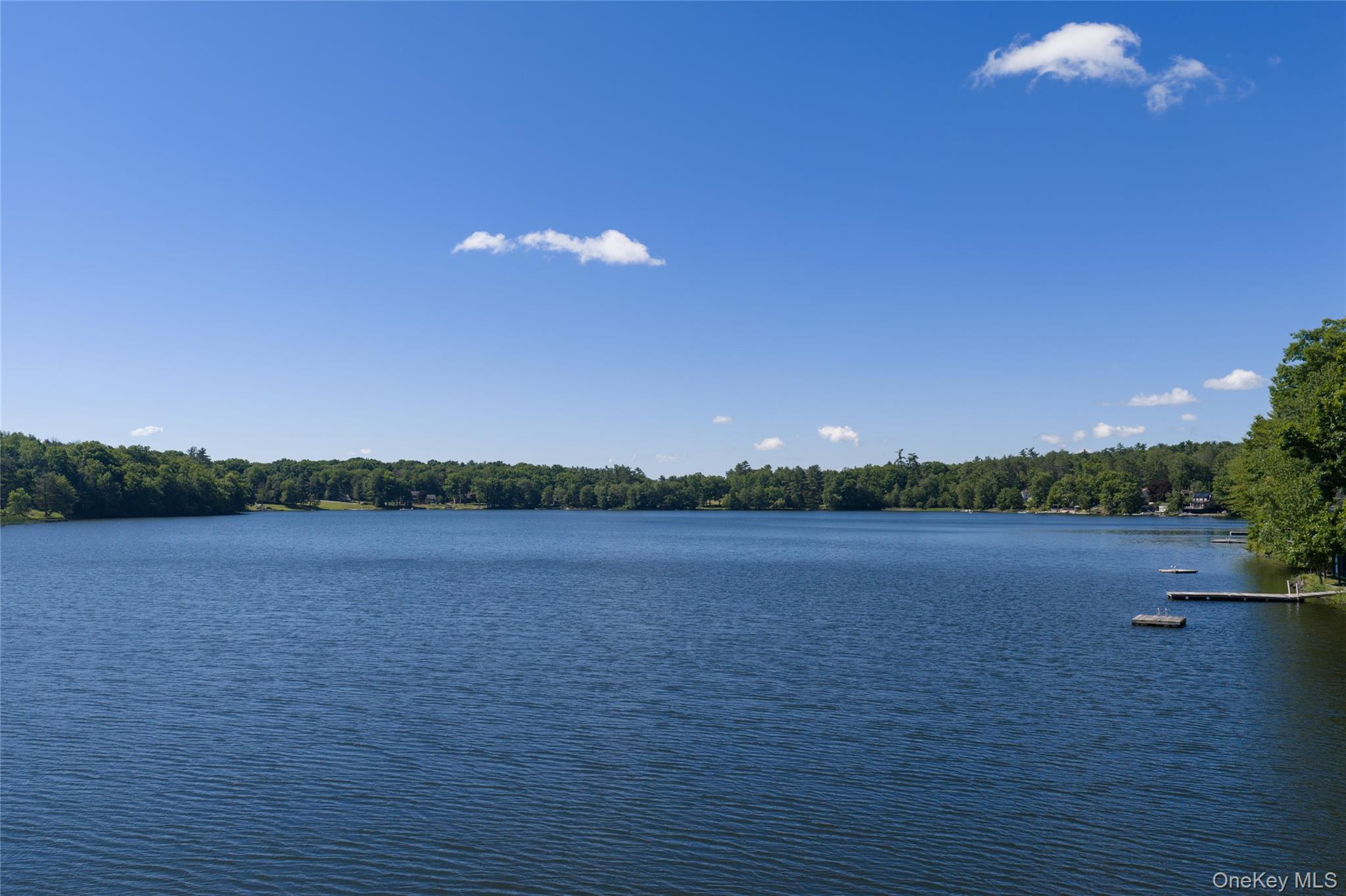 Single Family Narrowsburg Road Sullivan County, NY 12752, MLS-1020091-37