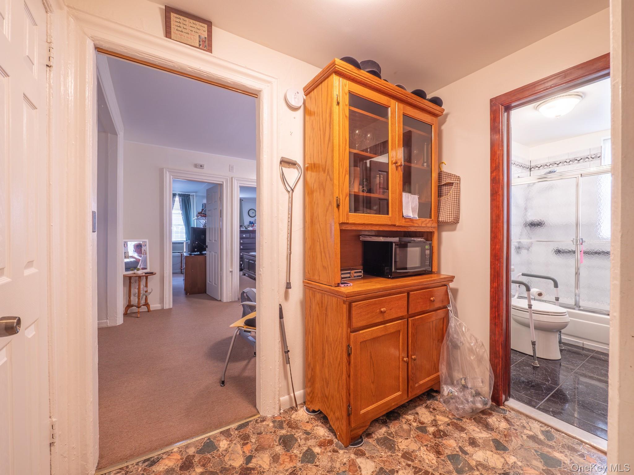 Single Family Mother Gaston Boulevard Brooklyn, NY 11212, MLS-1020098-11