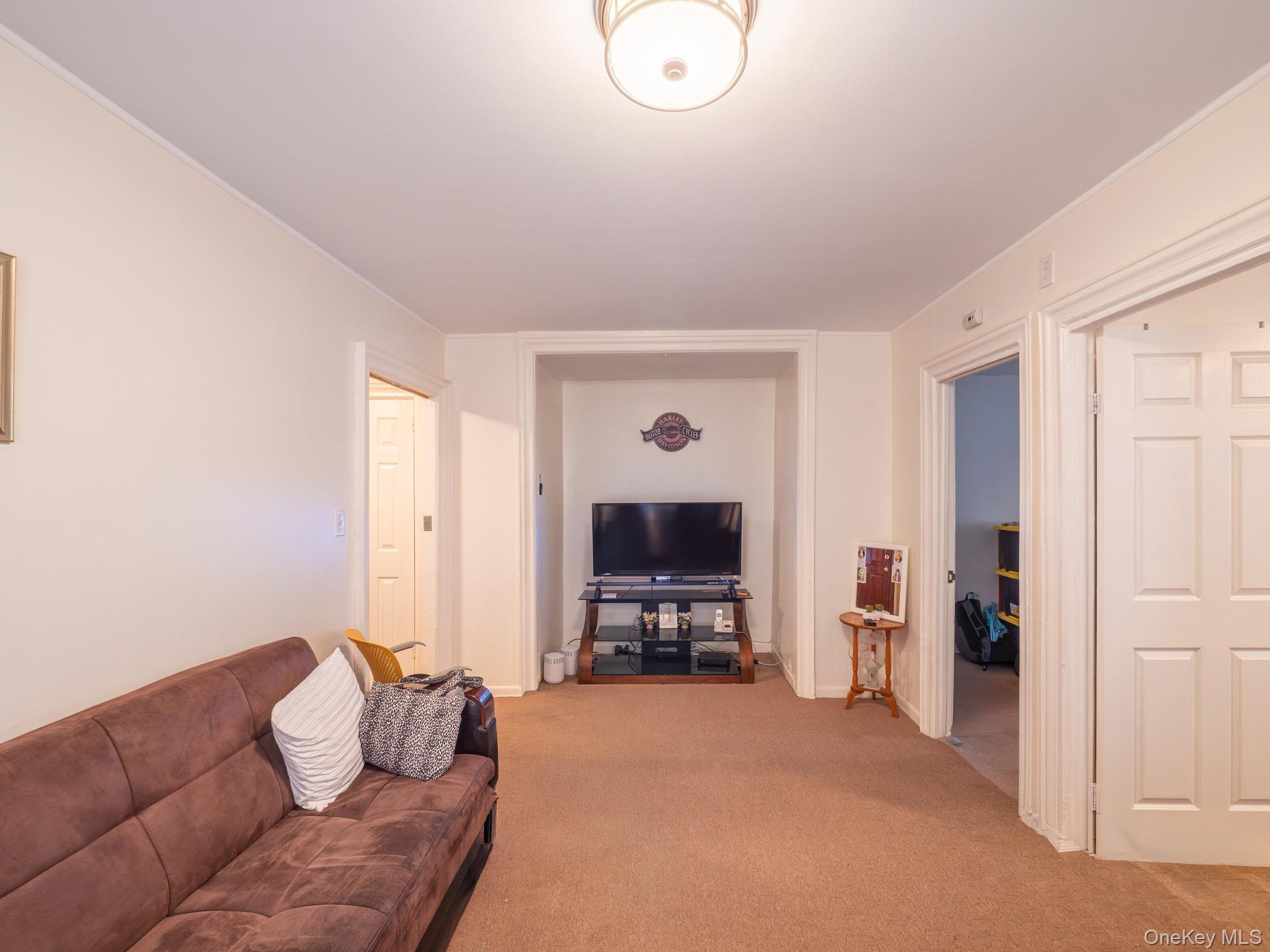 Single Family Mother Gaston Boulevard Brooklyn, NY 11212, MLS-1020098-15