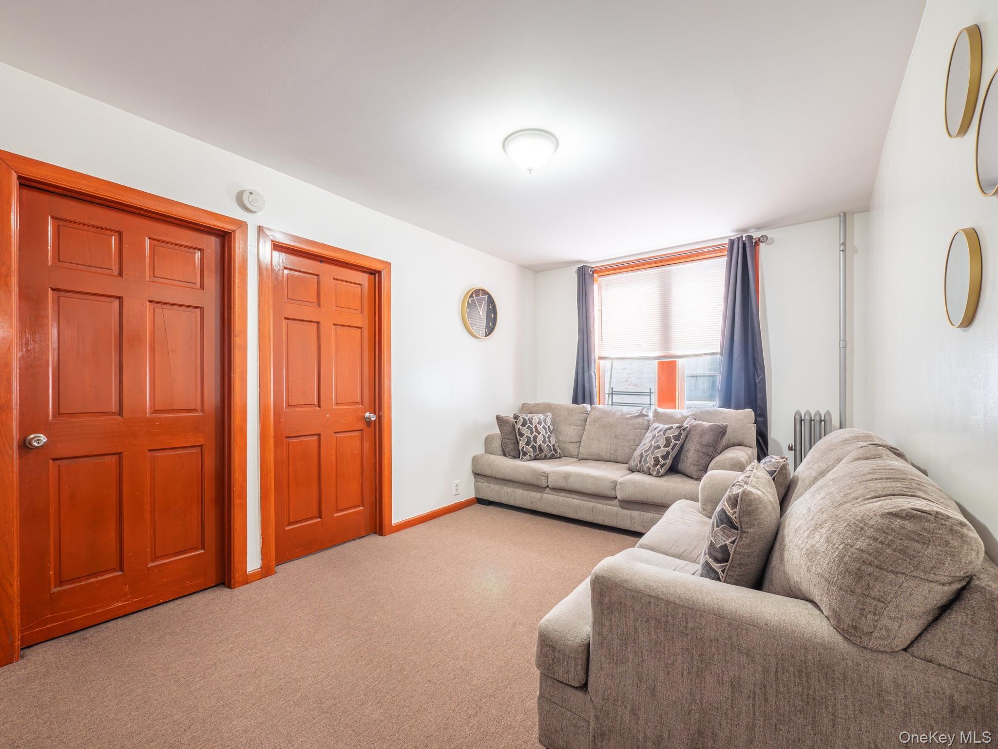 Single Family Mother Gaston Boulevard Brooklyn, NY 11212, MLS-1020098-25