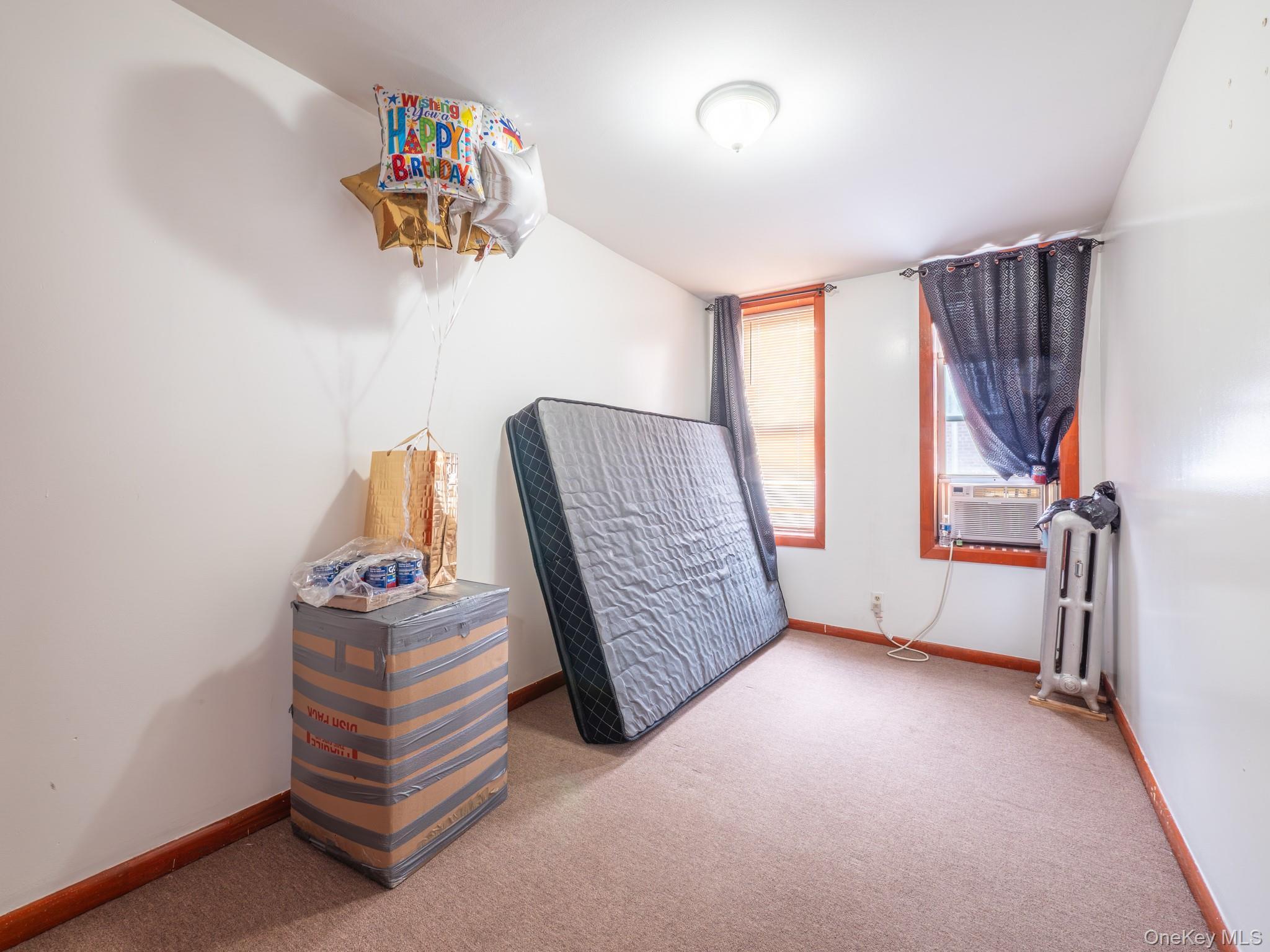 Single Family Mother Gaston Boulevard Brooklyn, NY 11212, MLS-1020098-27